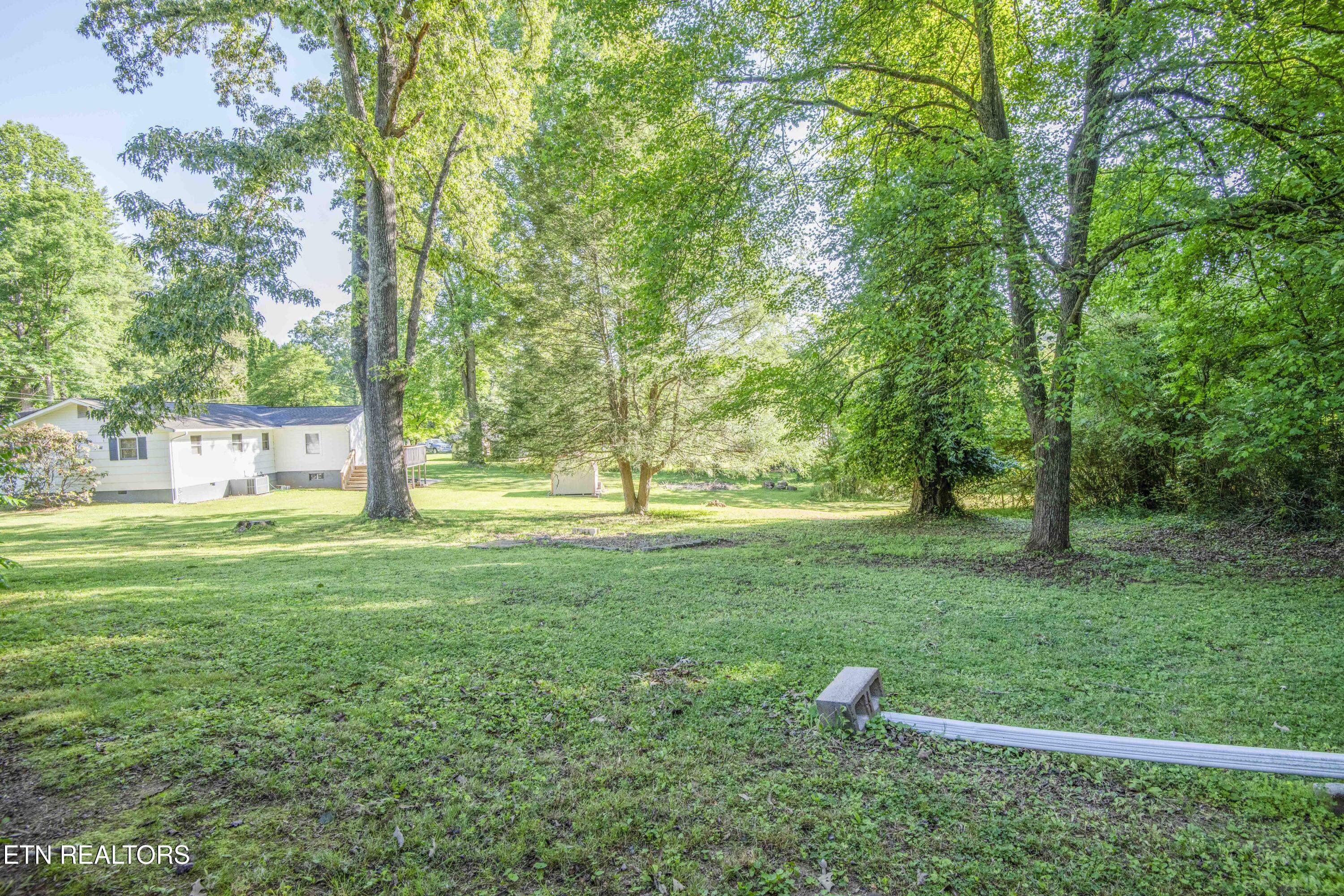 136 Mimosa Avenue Rockwood TN 37854