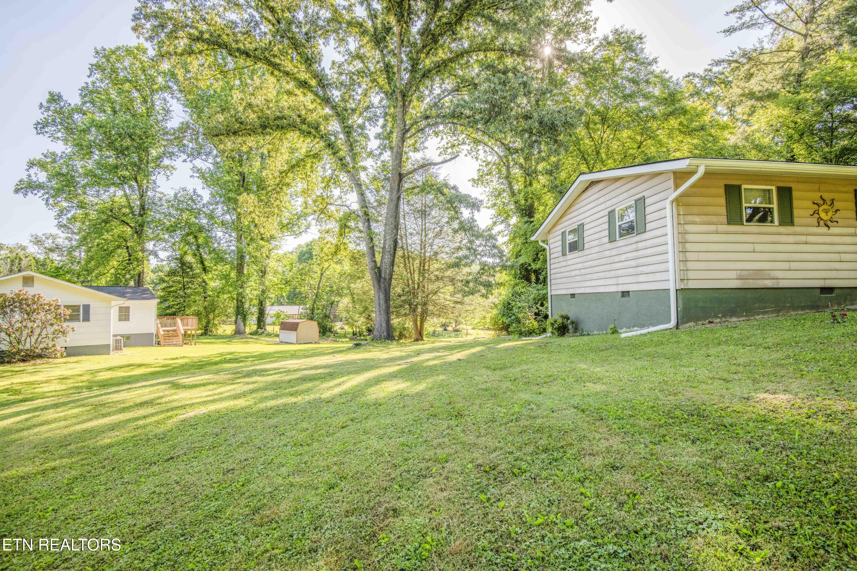 136 Mimosa Avenue Rockwood TN 37854
