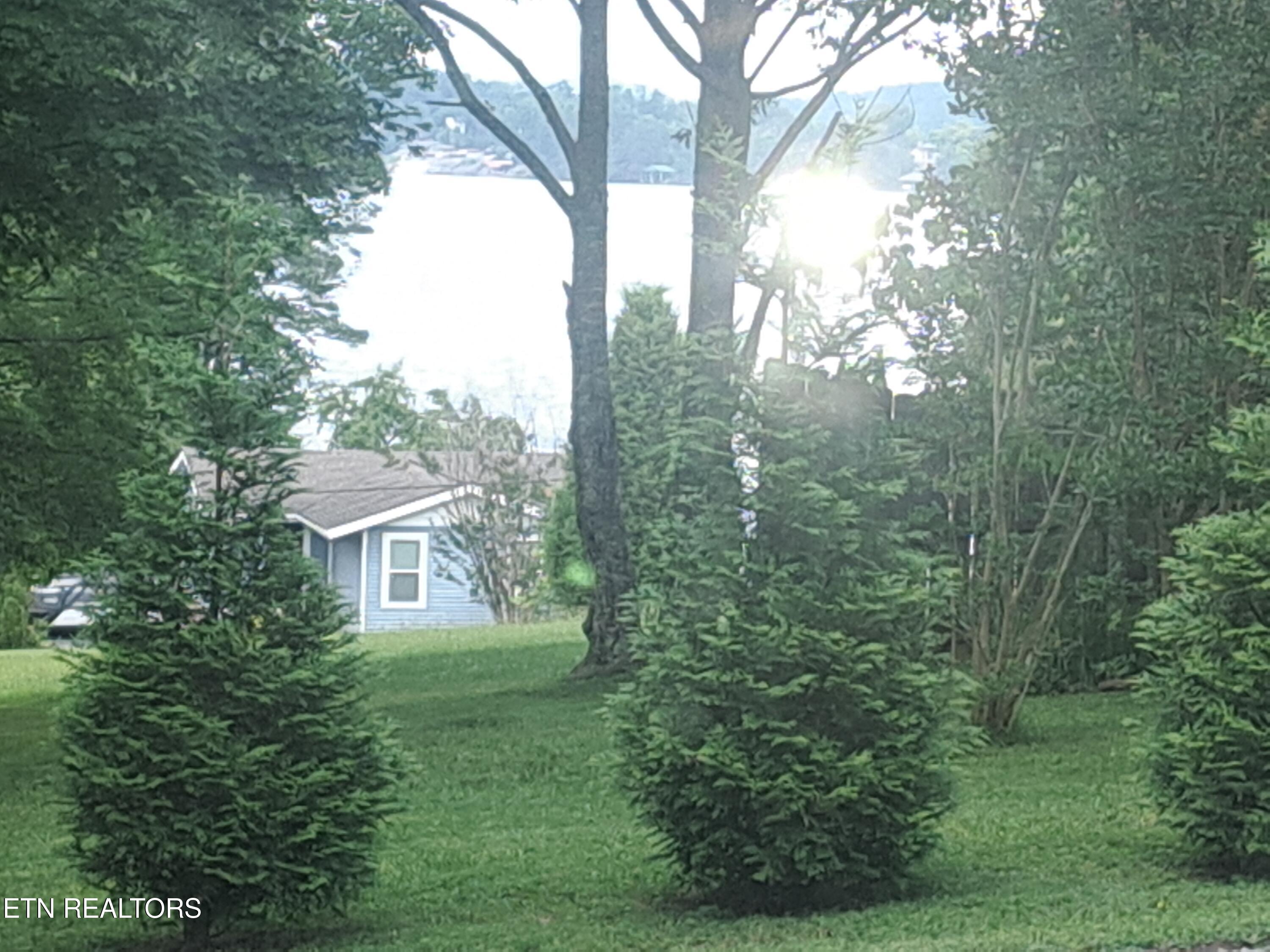 206 Lakeshire Drive Spring City TN 37381
