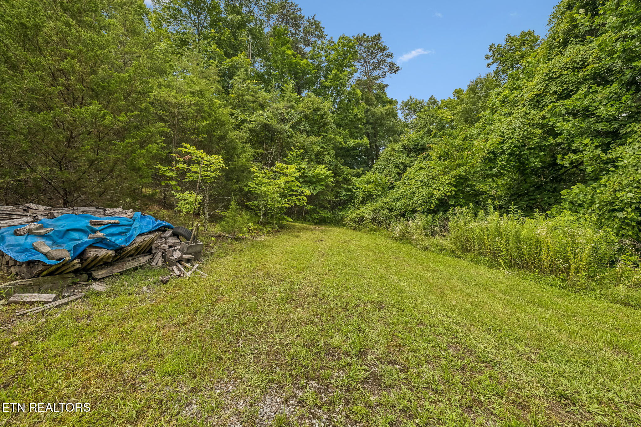 650 Gamble Gap Road Tellico Plains TN 37385