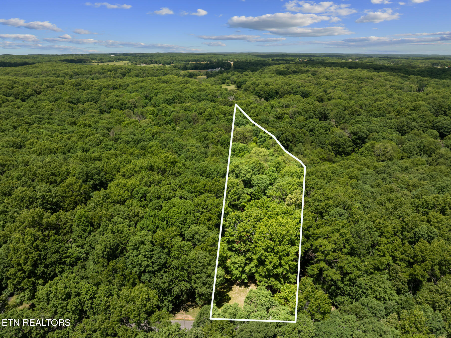 1001 Forest Crossville TN 38555