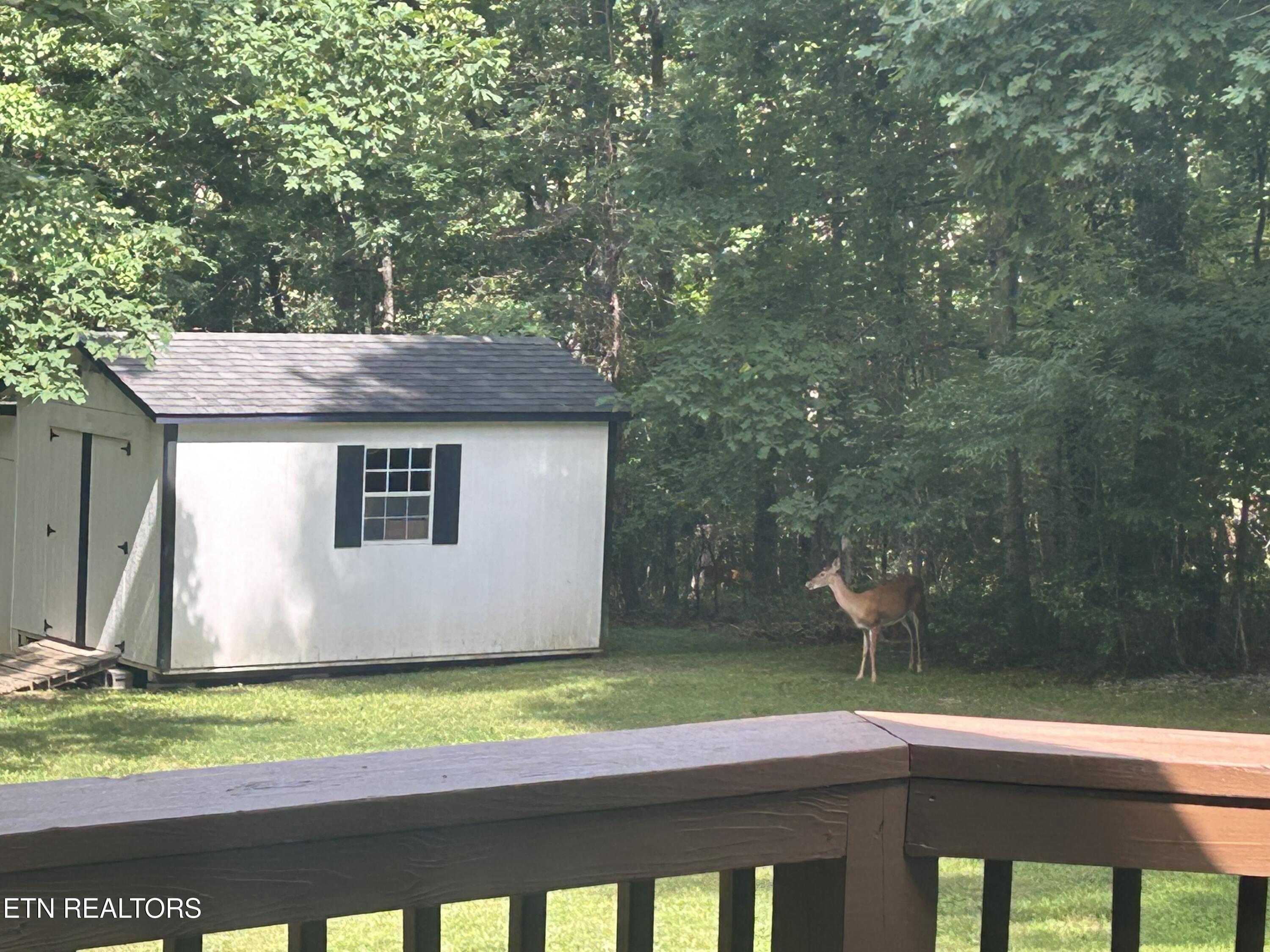 1001 Forest Crossville TN 38555
