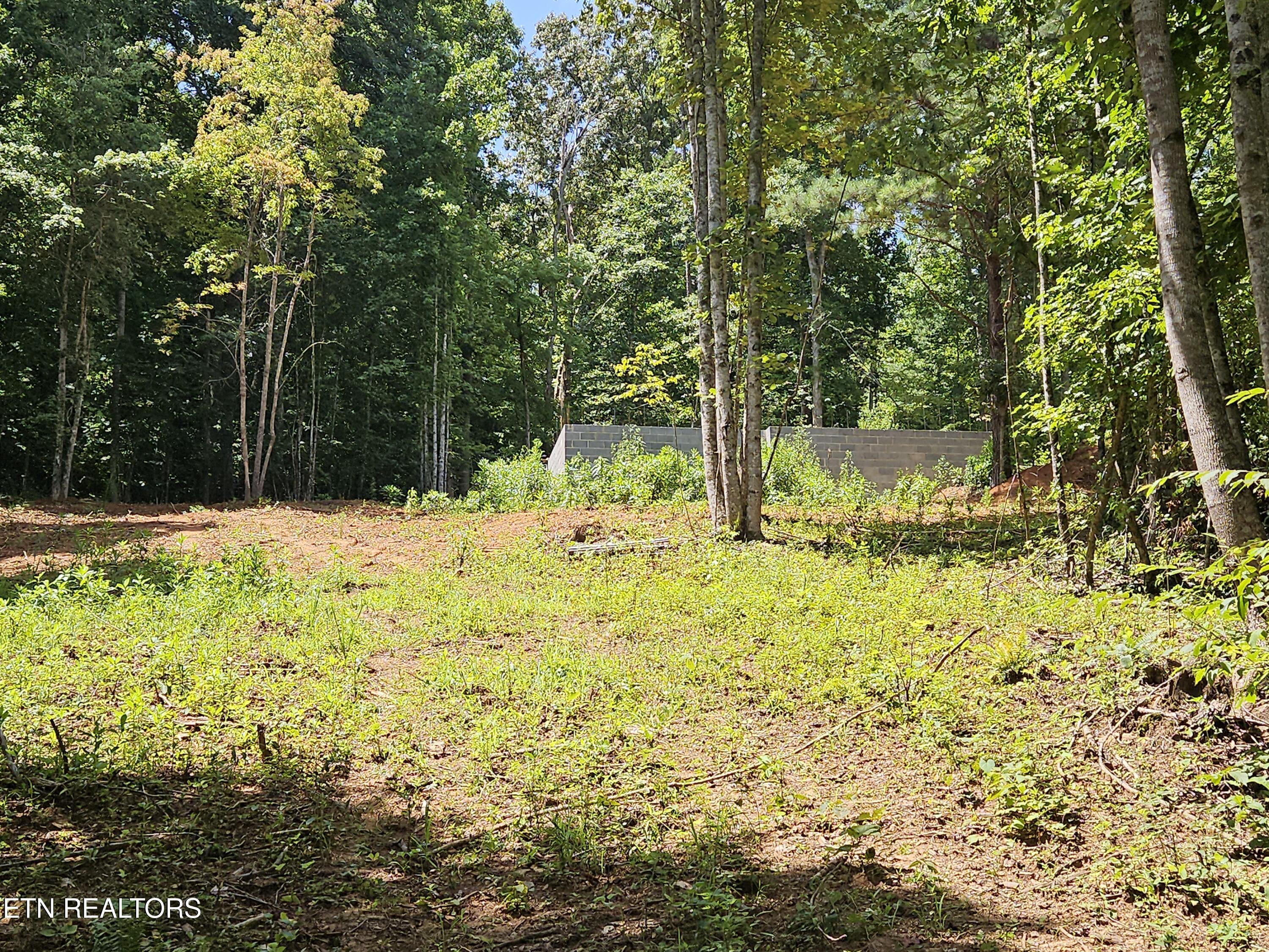 240 Haven Way Lenoir City TN 37771
