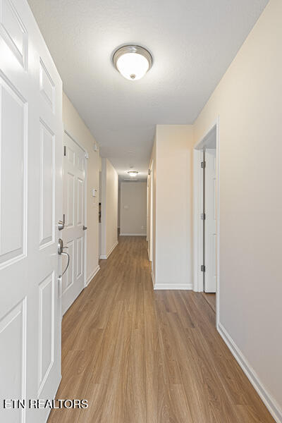 8805 Carriage House Way Knoxville TN 37923