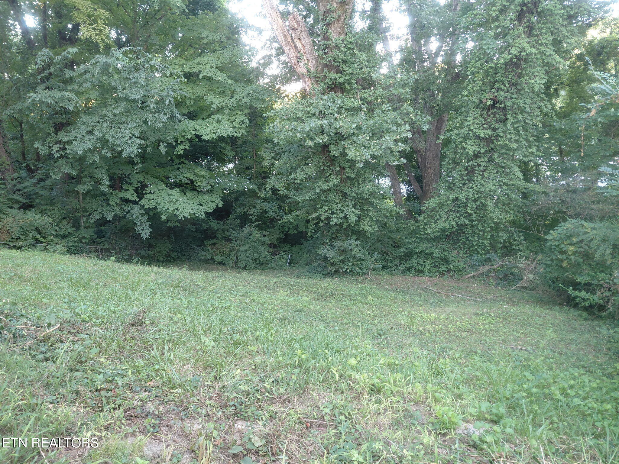 202 Hillview Avenue Knoxville TN 37914