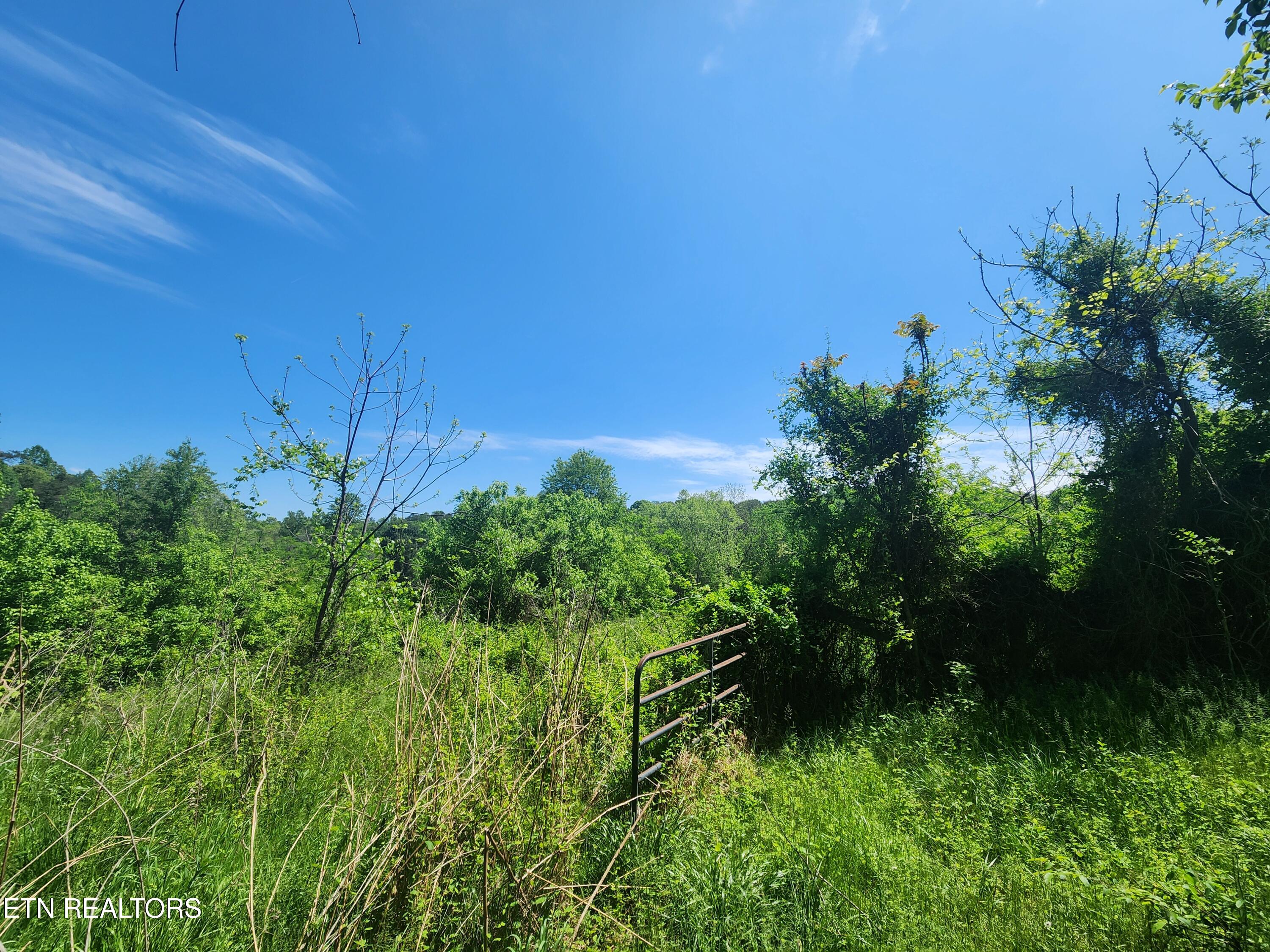 835 Nance Road Rutledge TN 37861
