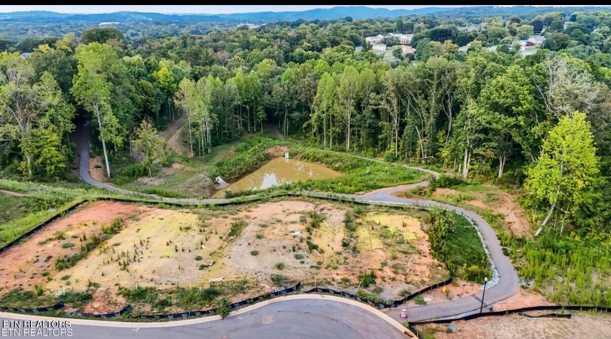 1710 Bennett Village Drive Maryville TN 37804