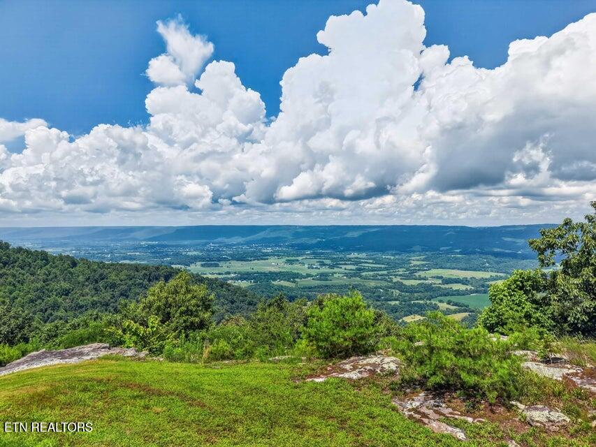 1981 Porch Rock Road Pikeville TN 37367