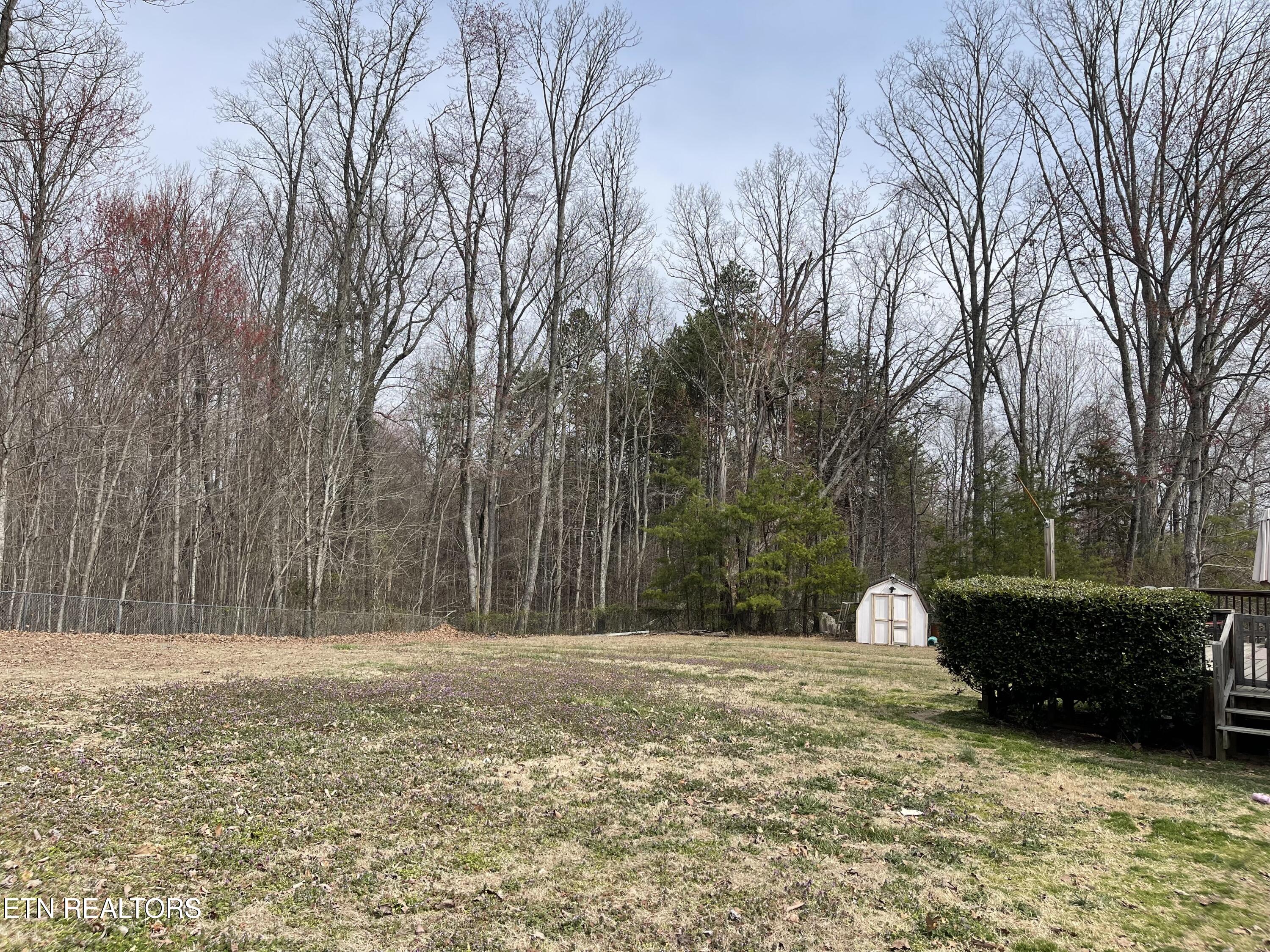 168 Volunteer Lane Clinton TN 37716