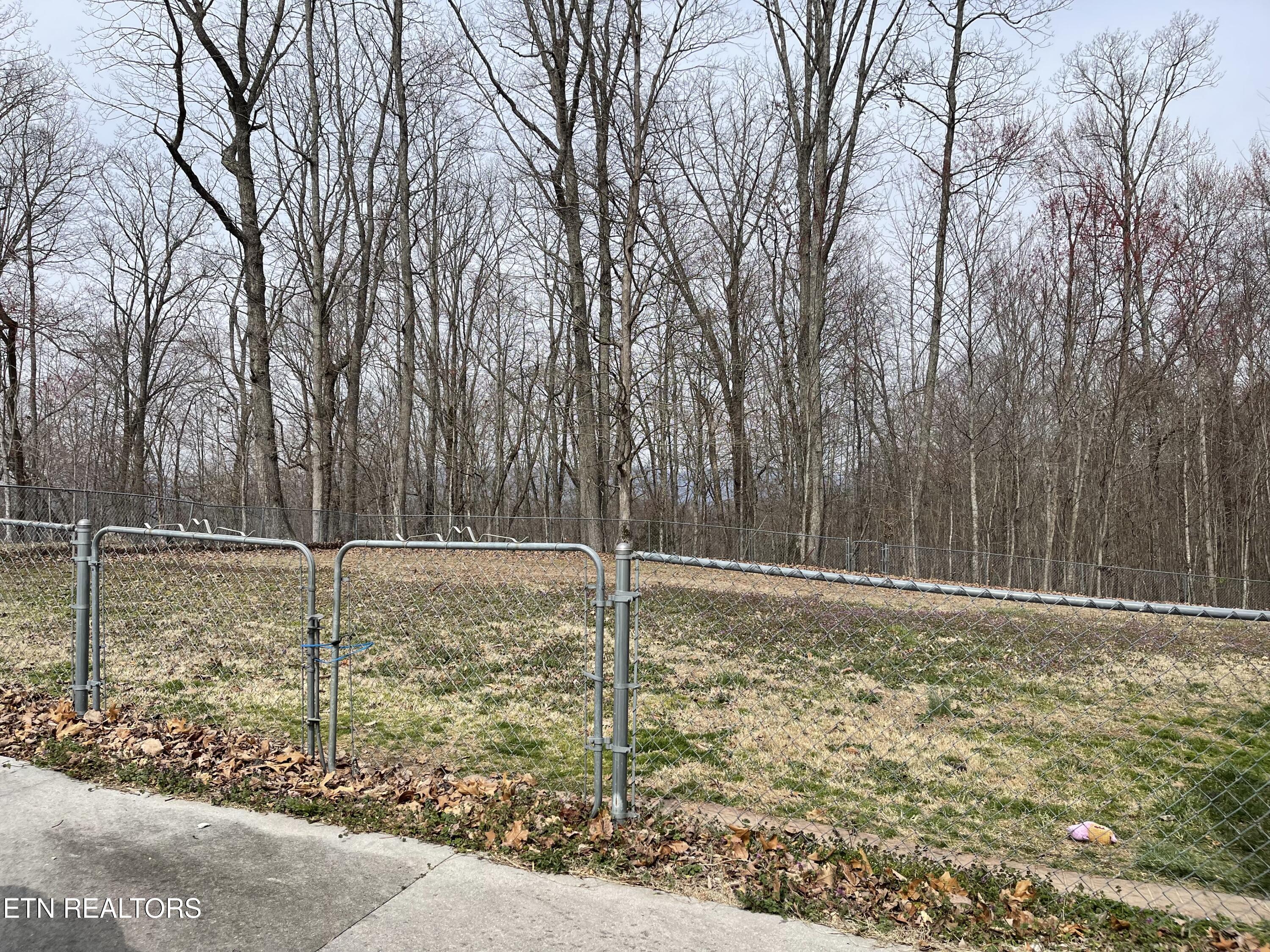 168 Volunteer Lane Clinton TN 37716