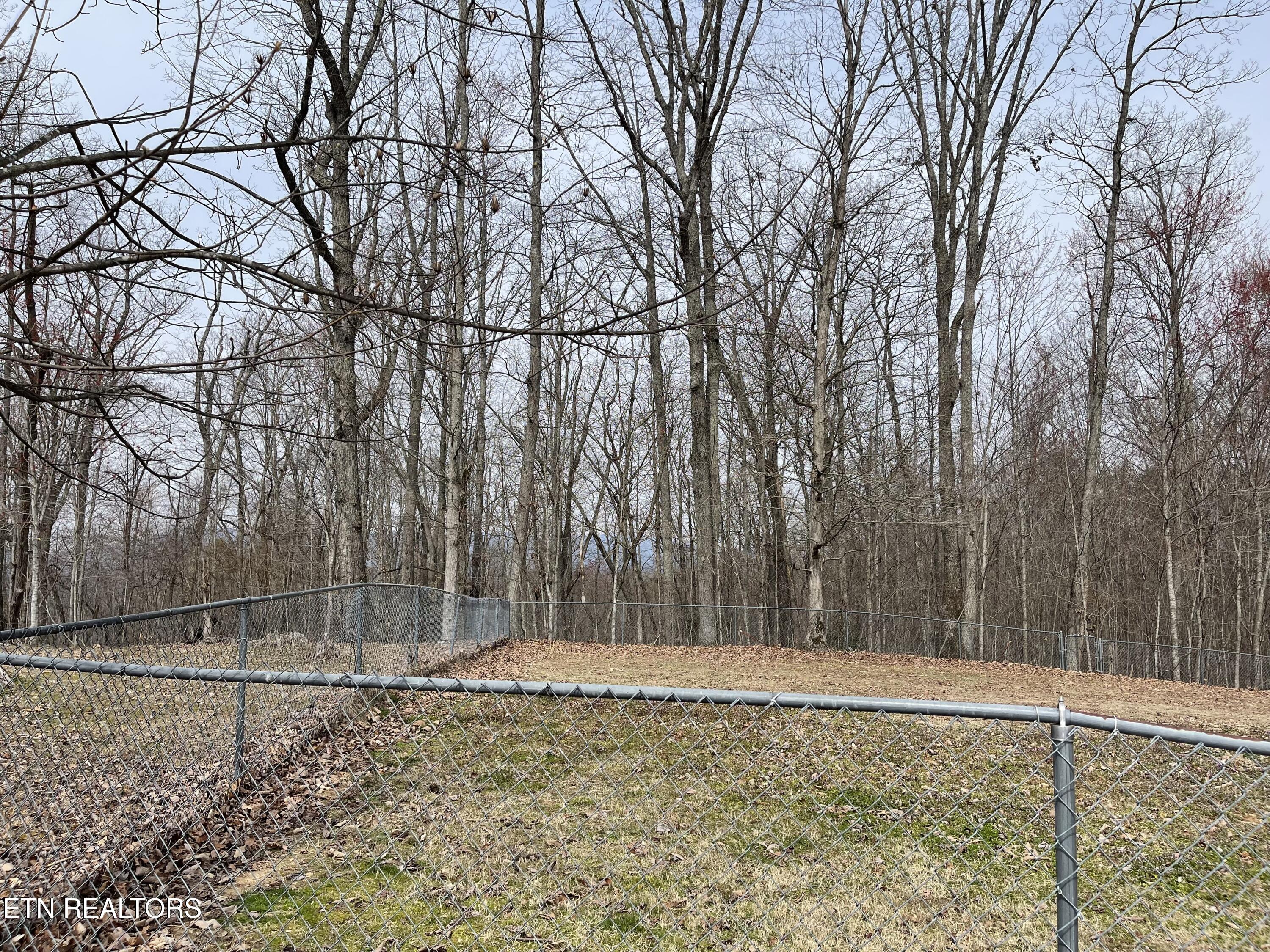 168 Volunteer Lane Clinton TN 37716