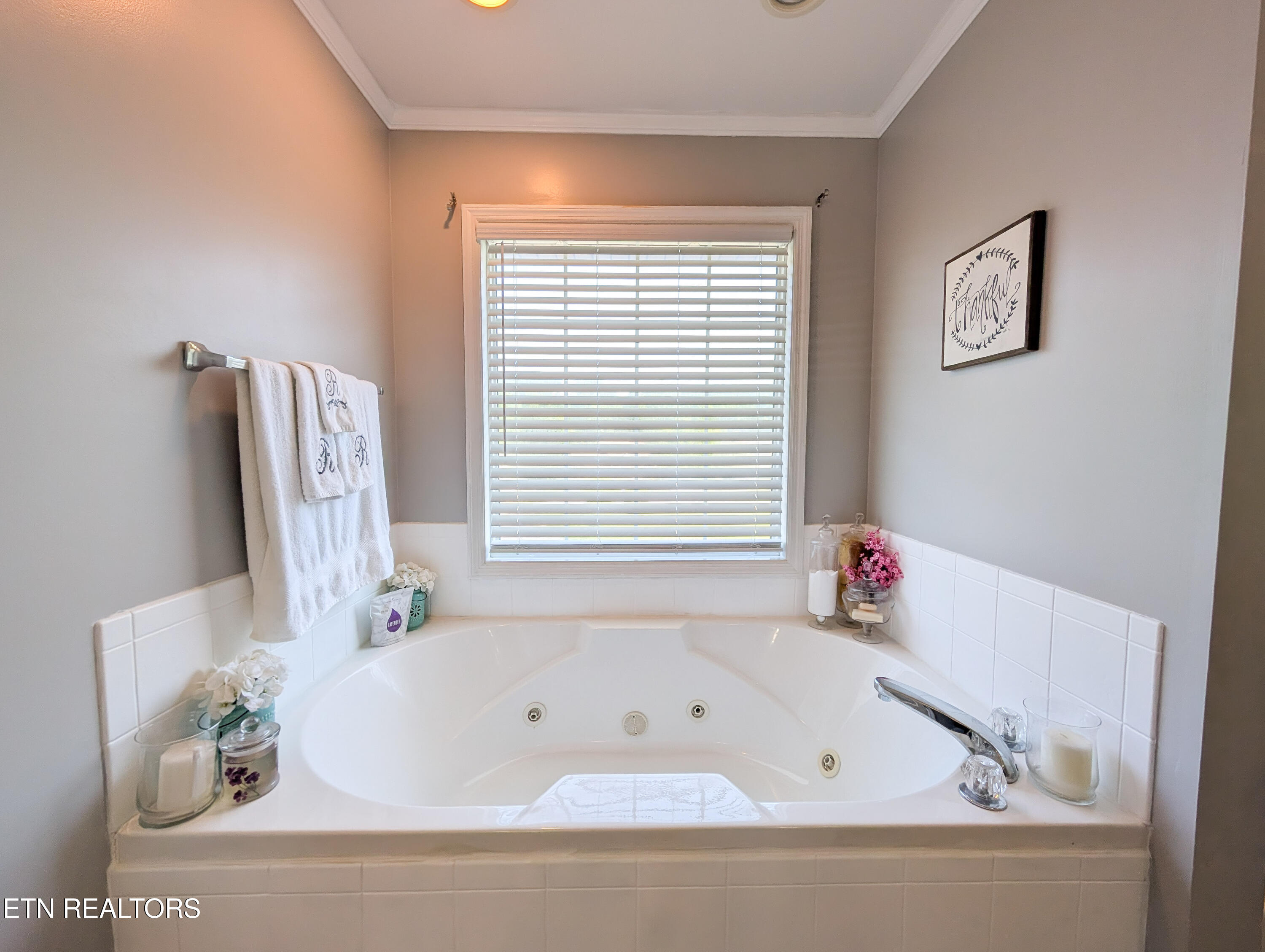 2426 Amber Dawn Lane Knoxville TN 37920