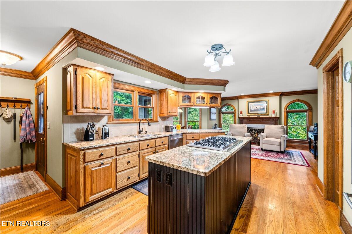 646 Hilltop Drive Jacksboro TN 37757