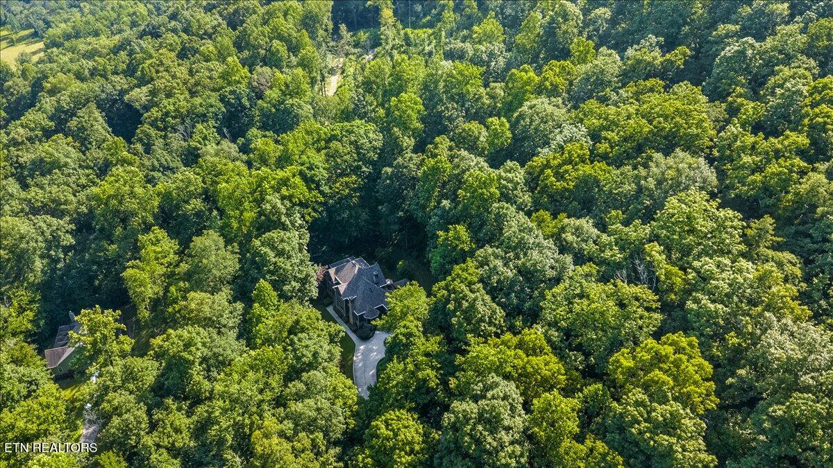 646 Hilltop Drive Jacksboro TN 37757
