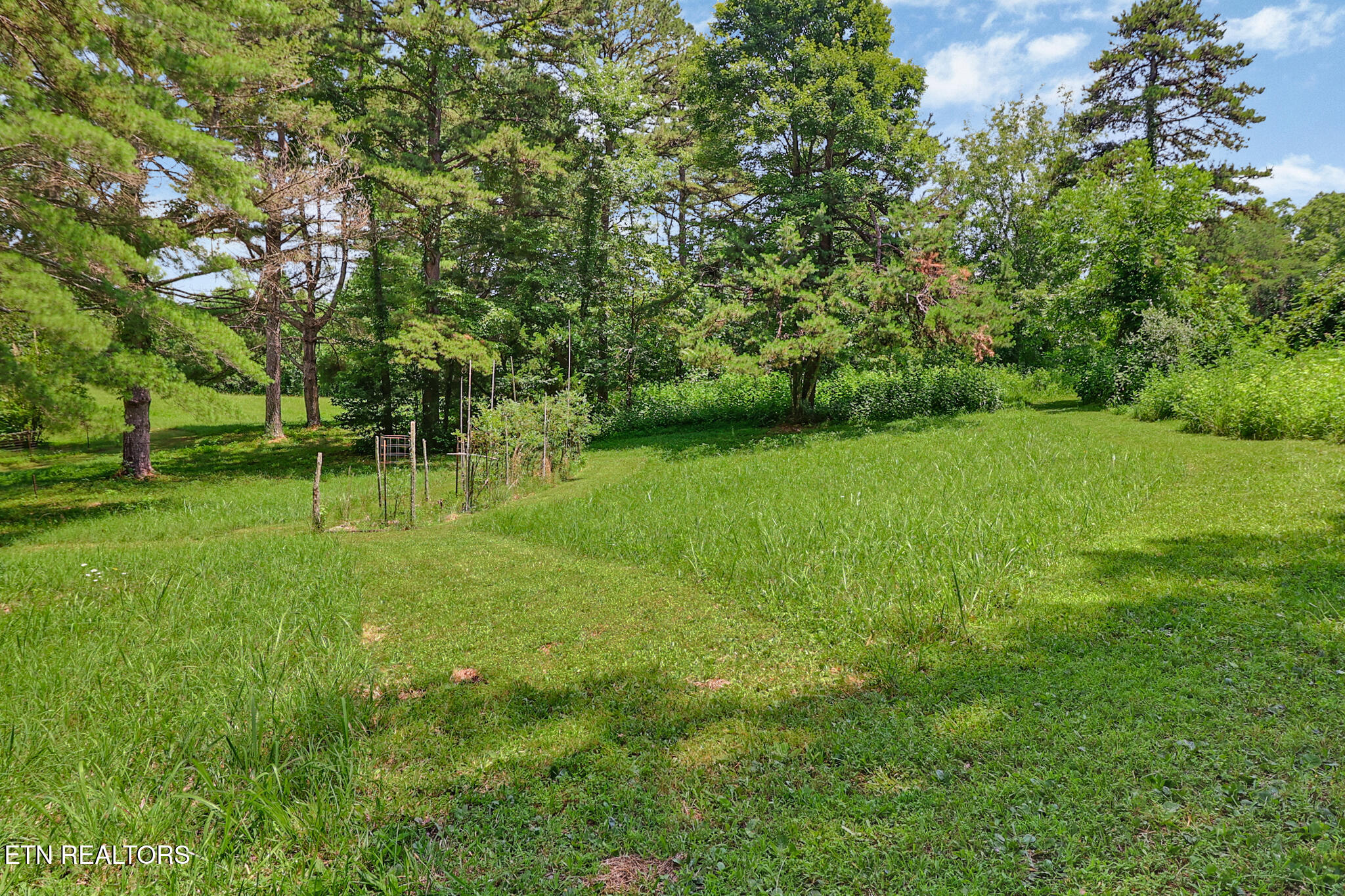 222 Foxfire Lane Kingston TN 37763