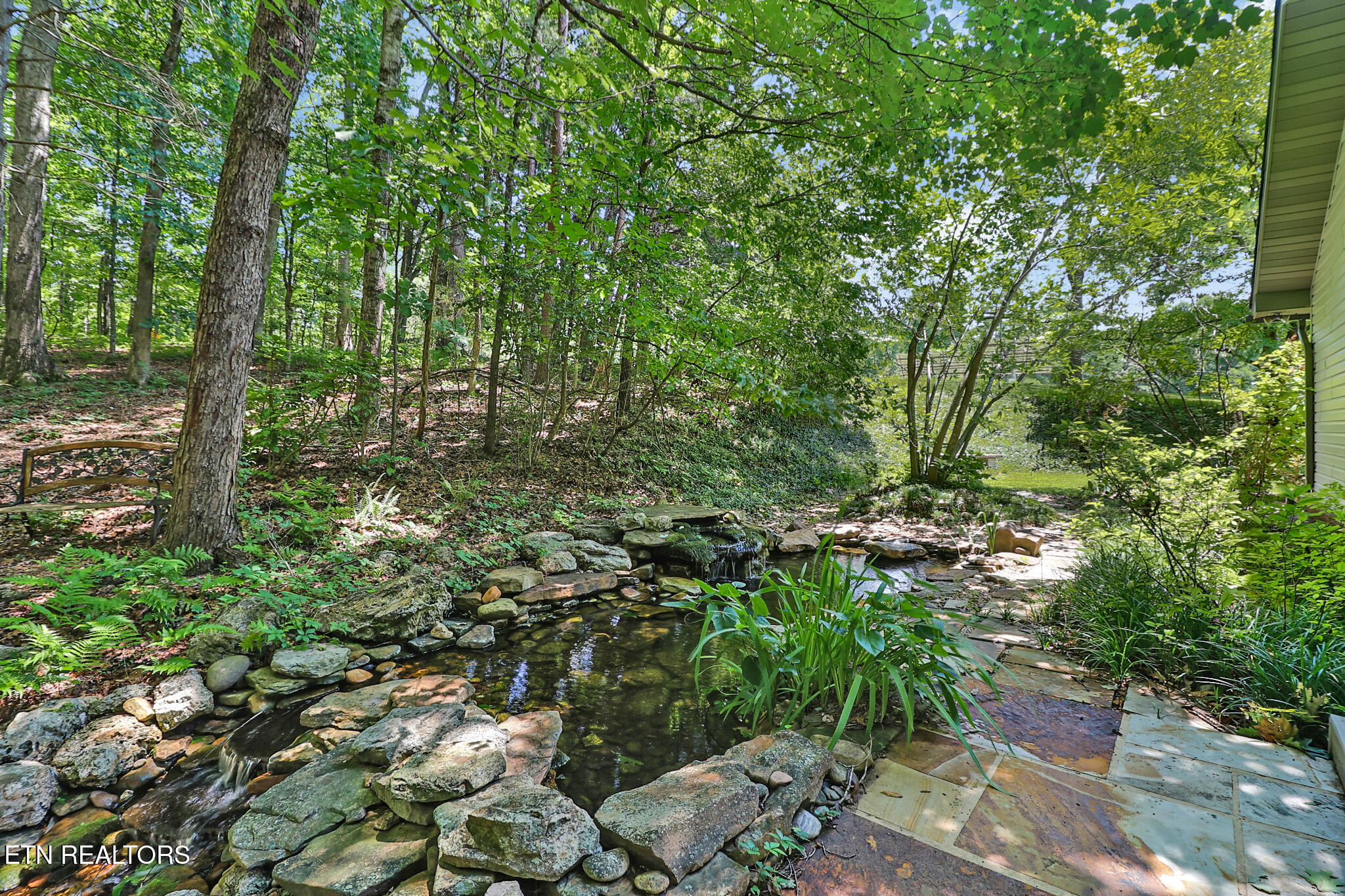 222 Foxfire Lane Kingston TN 37763