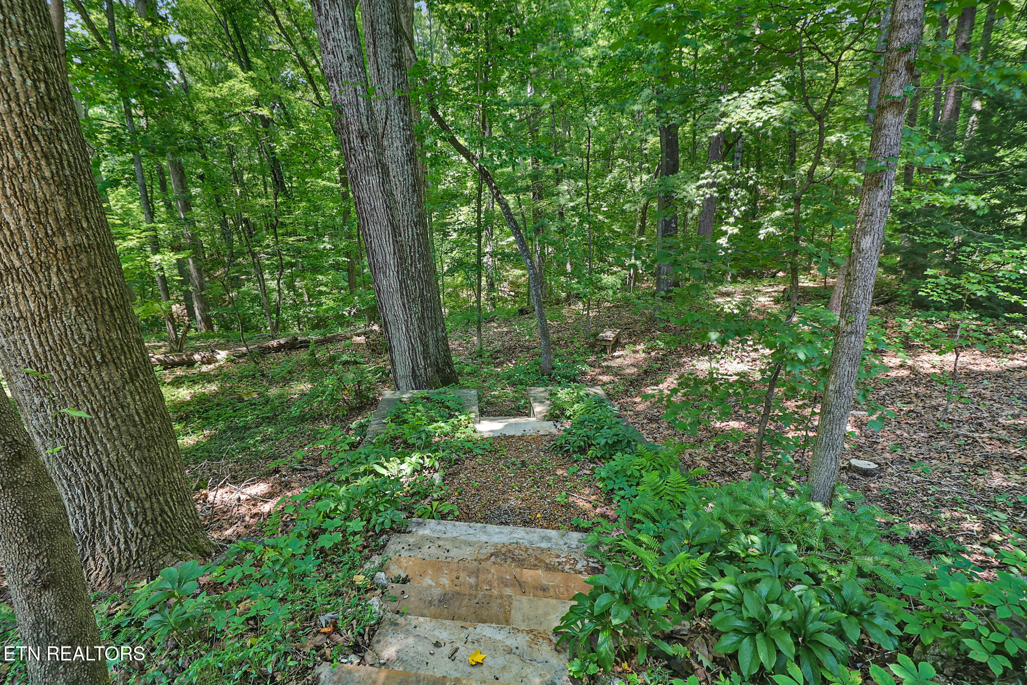 222 Foxfire Lane Kingston TN 37763