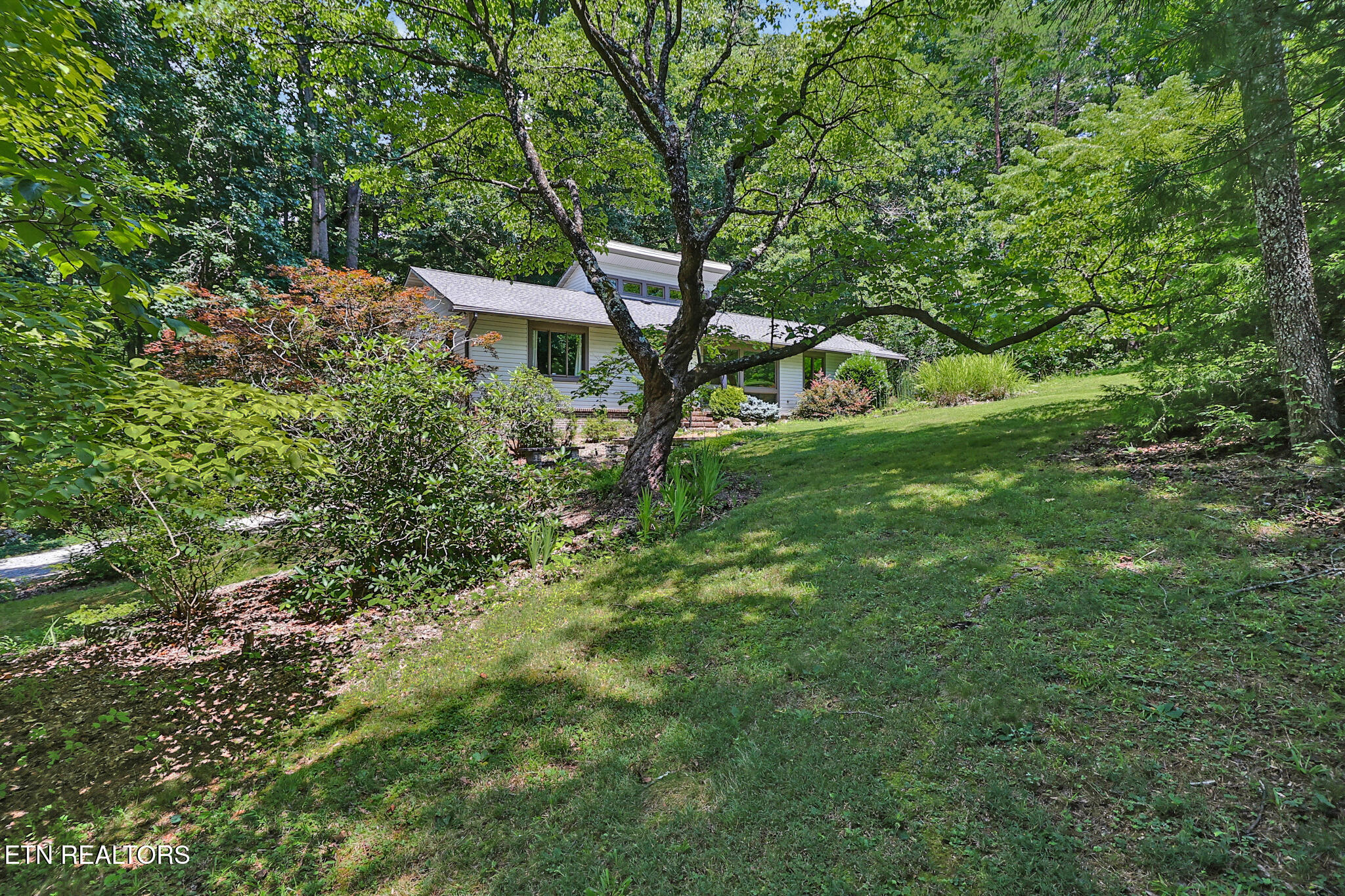 222 Foxfire Lane Kingston TN 37763