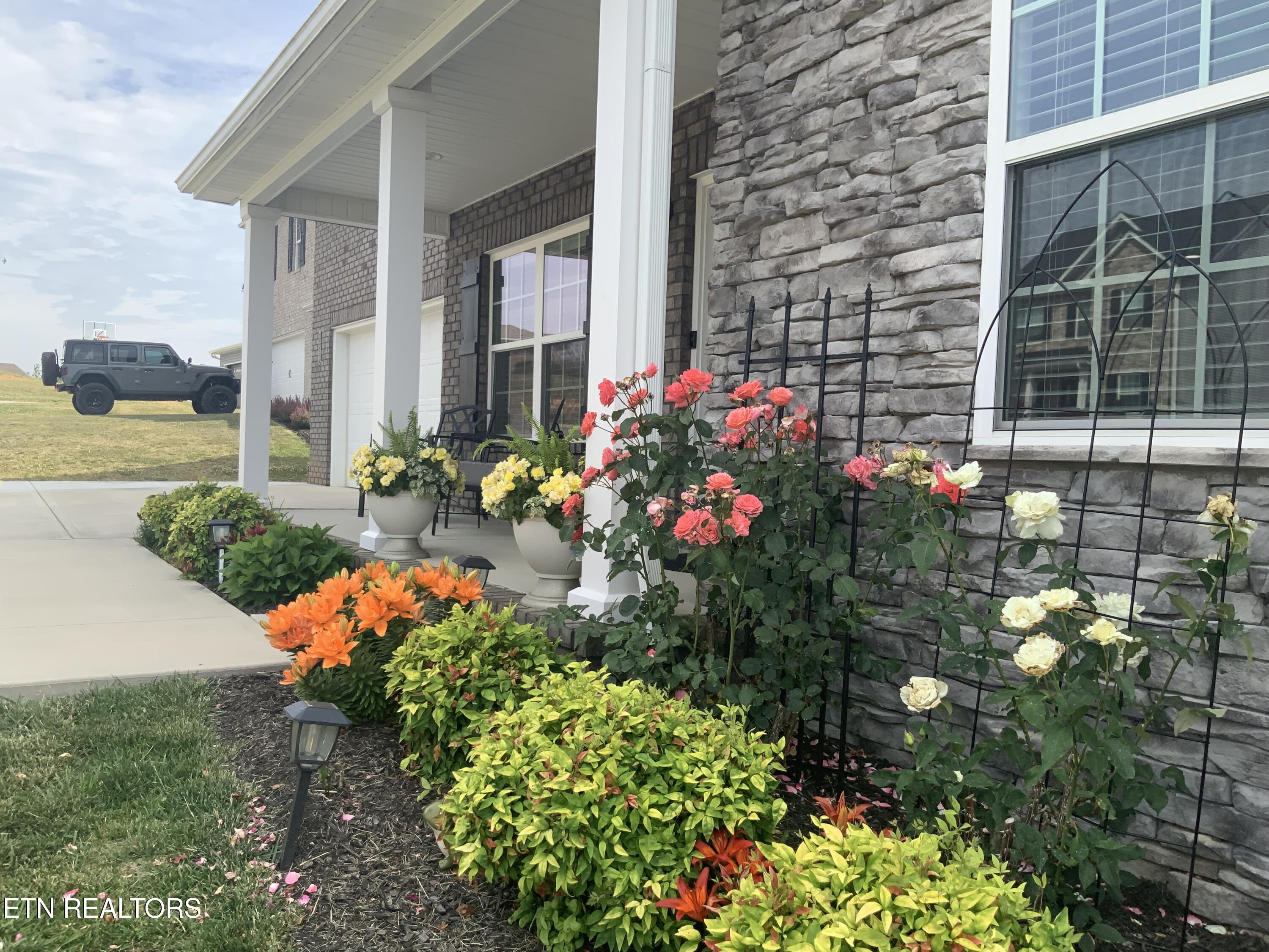 8230 Equinox Lane Powell TN 37849