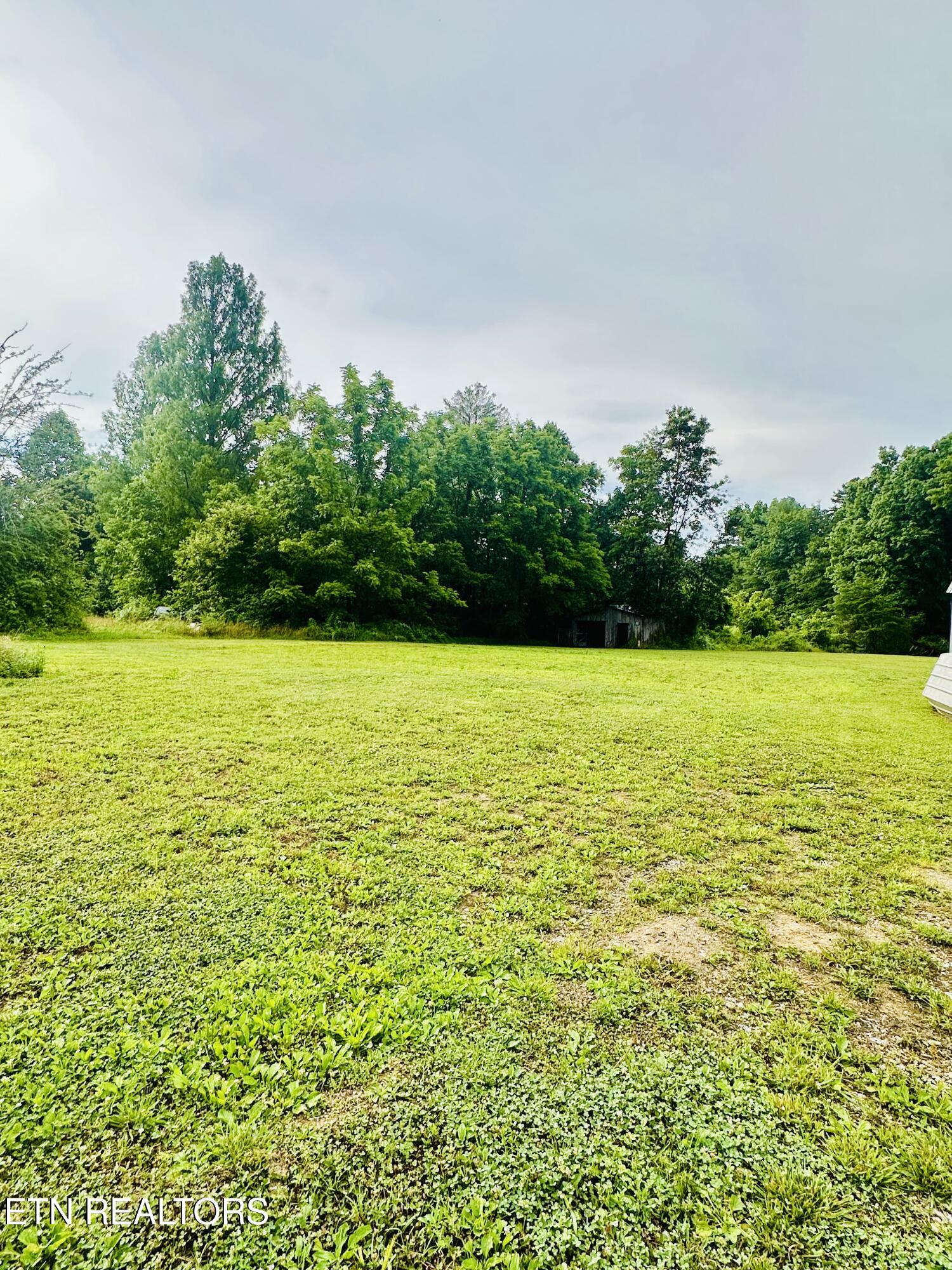1240 Burrville Road Sunbright TN 37872