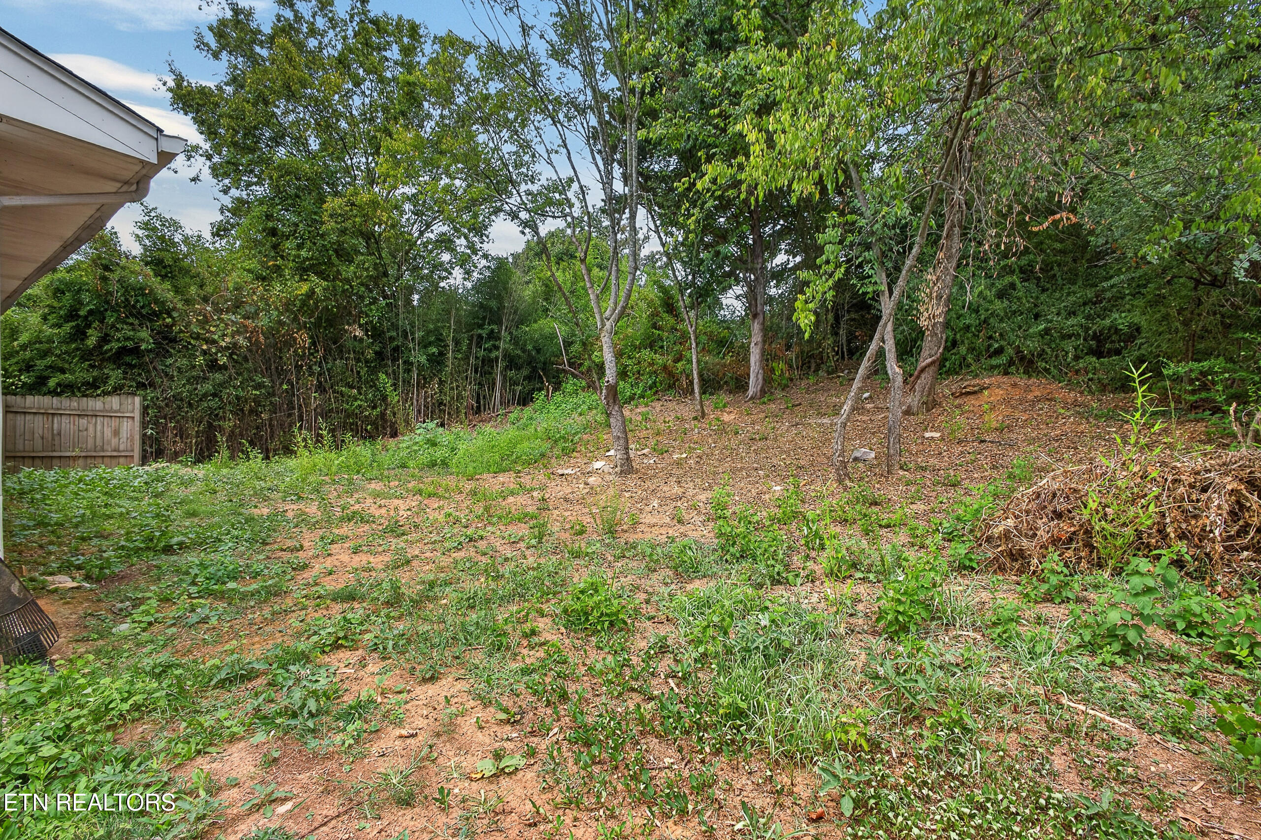 5411 Parkridge Drive Knoxville TN 37924
