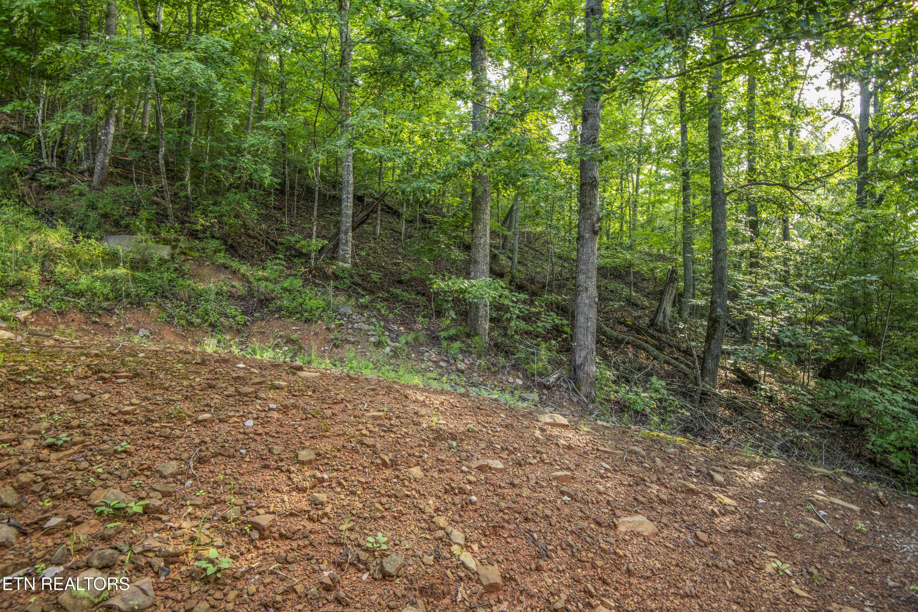 150 Limestone Lane New Tazewell TN 37825
