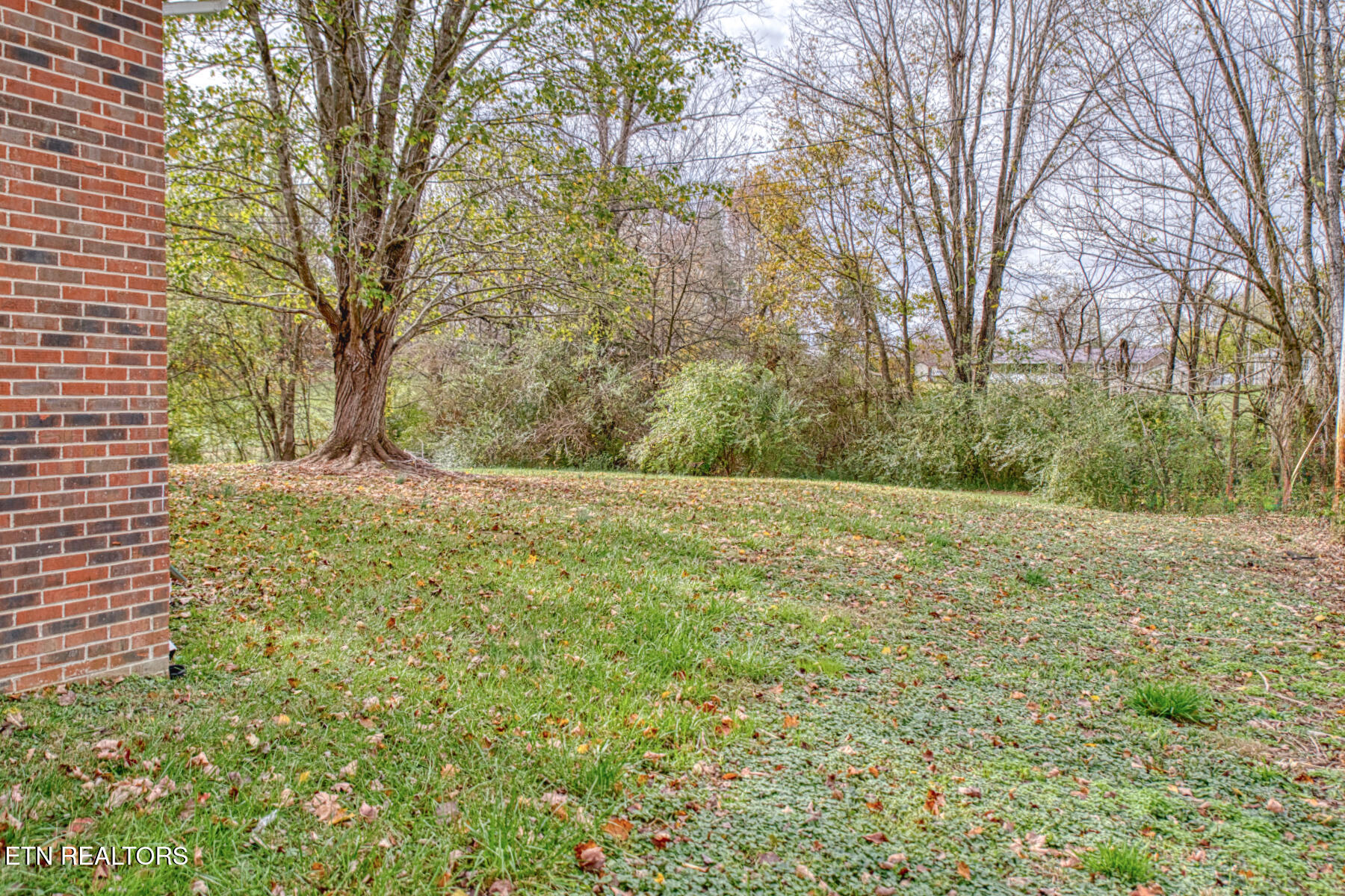 956 Shannon Drive Cookeville TN 38506