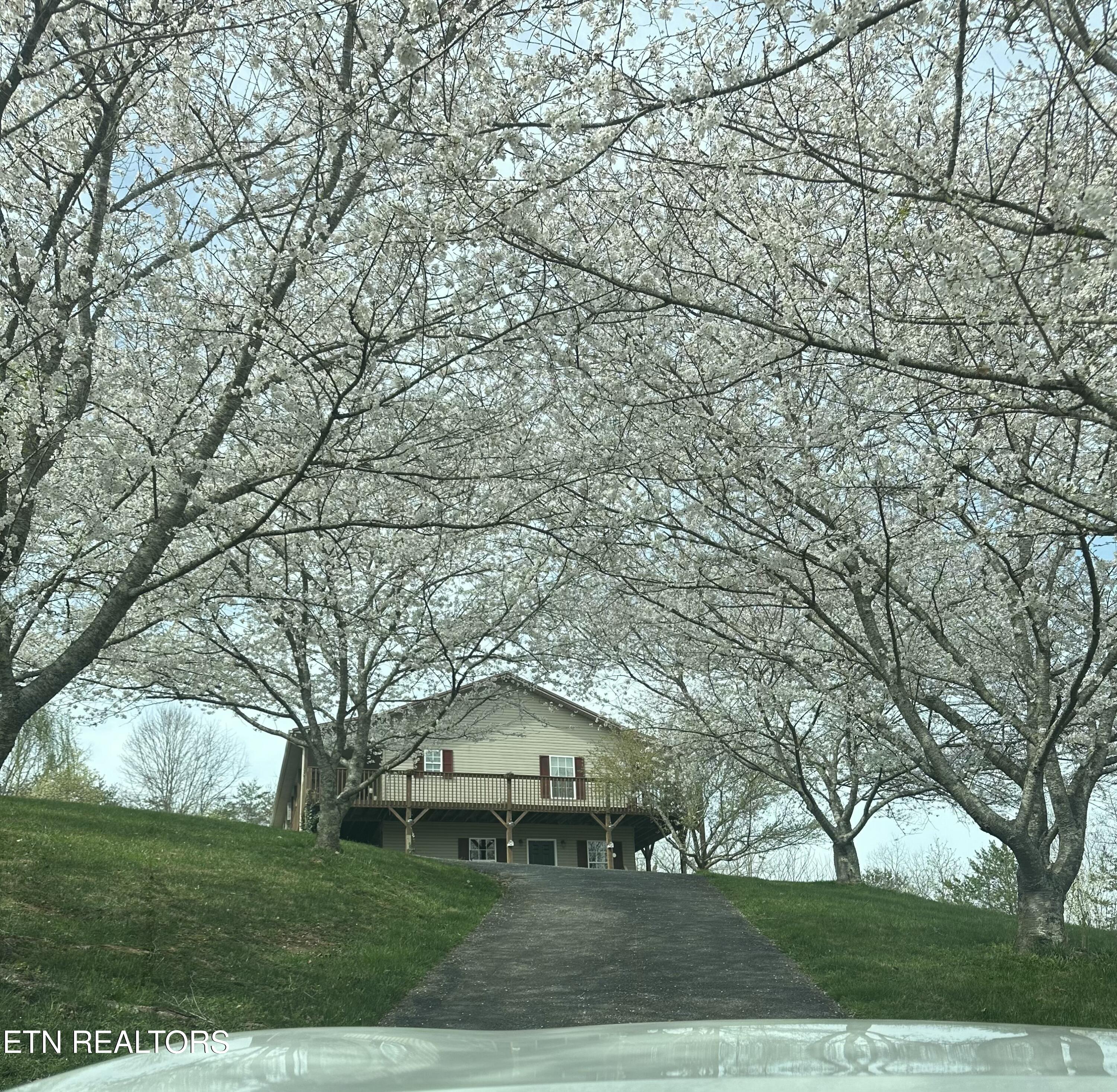 110 Falcon Crest Drive Harrogate TN 37752