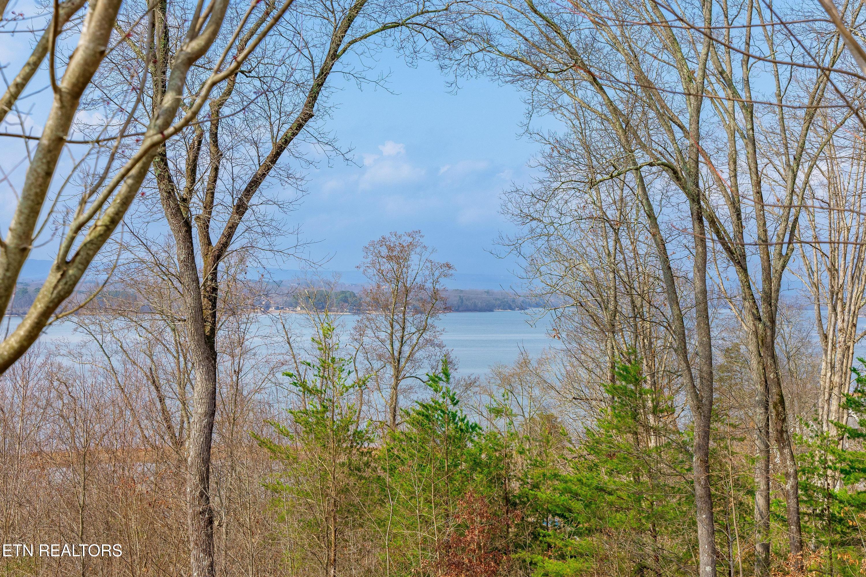 6291 Breezy Hollow Lane Harrison TN 37341