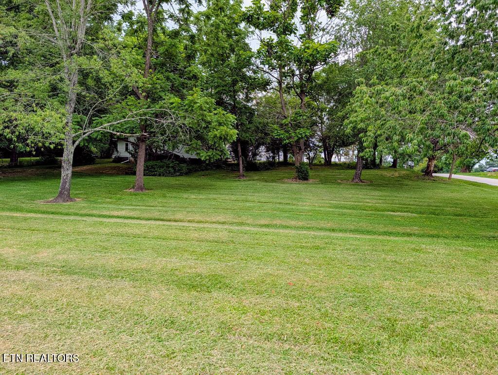 503 S Pine Street Monterey TN 38574