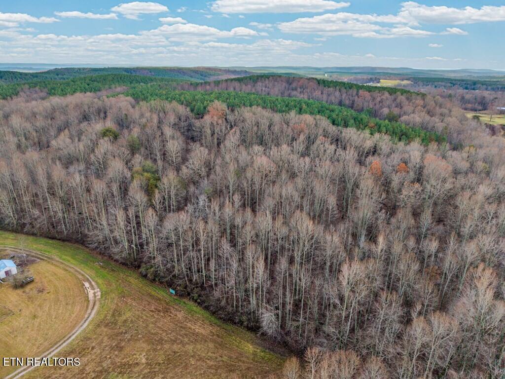 170 Perrigan Lane Sparta TN 38583