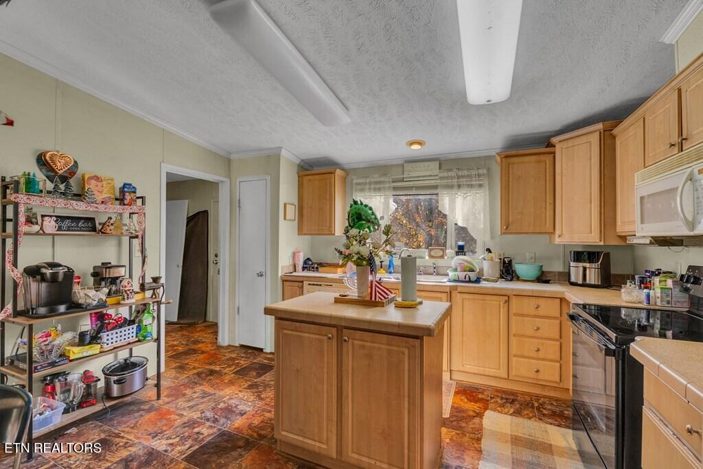 170 Perrigan Lane Sparta TN 38583