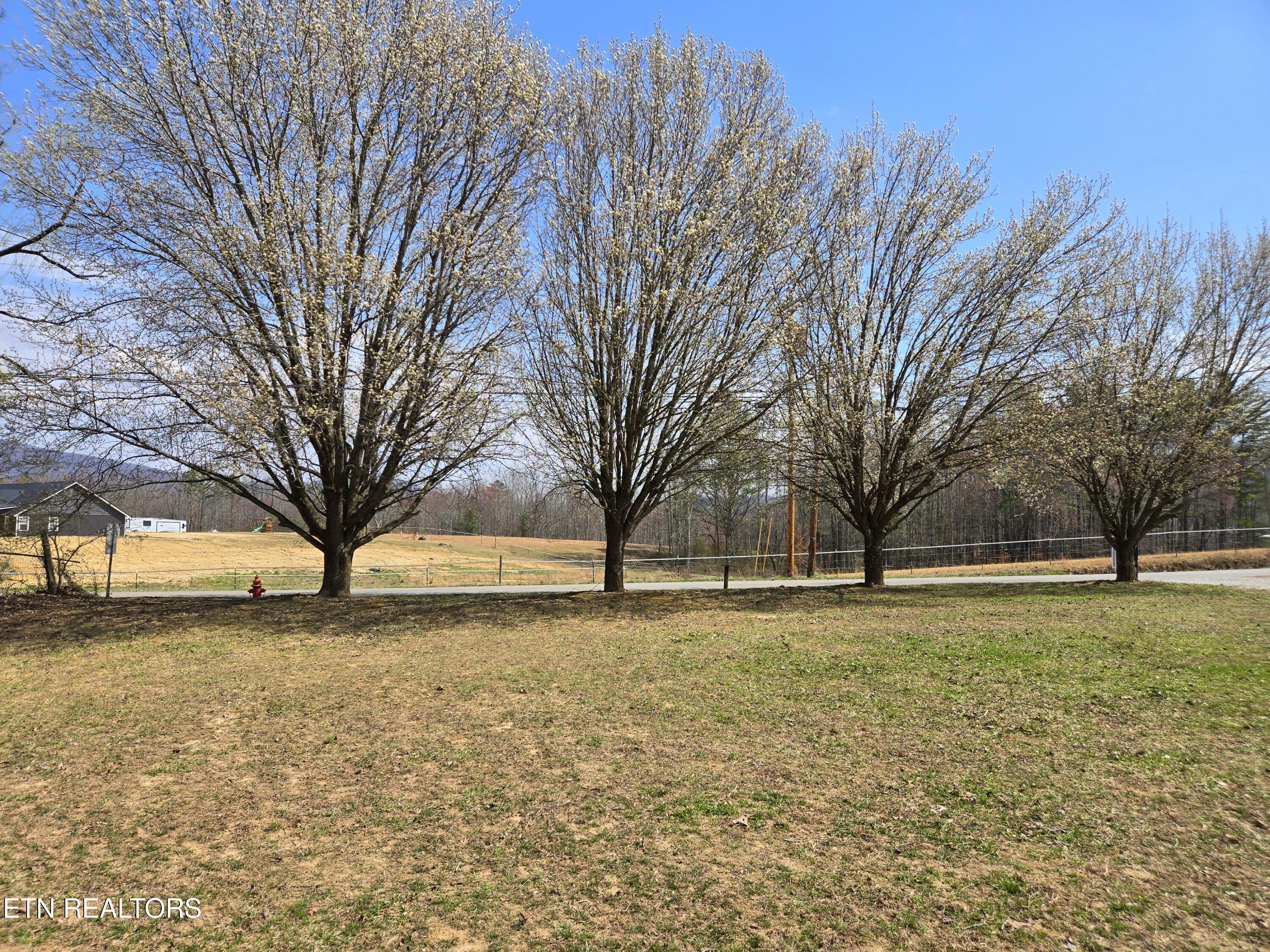 106 Matt Edmond Road Wartburg TN 37887