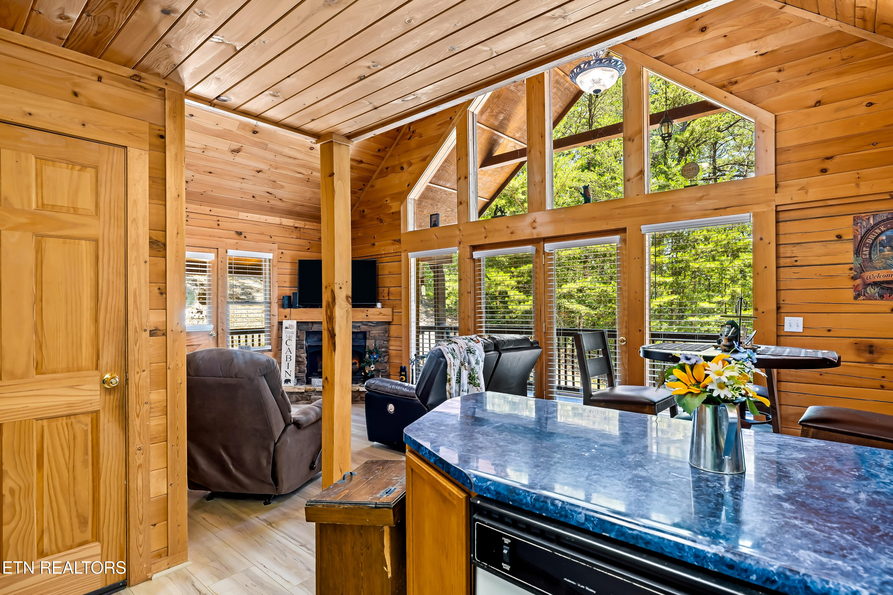 3447 Dogwood Circle Pigeon Forge TN 37863