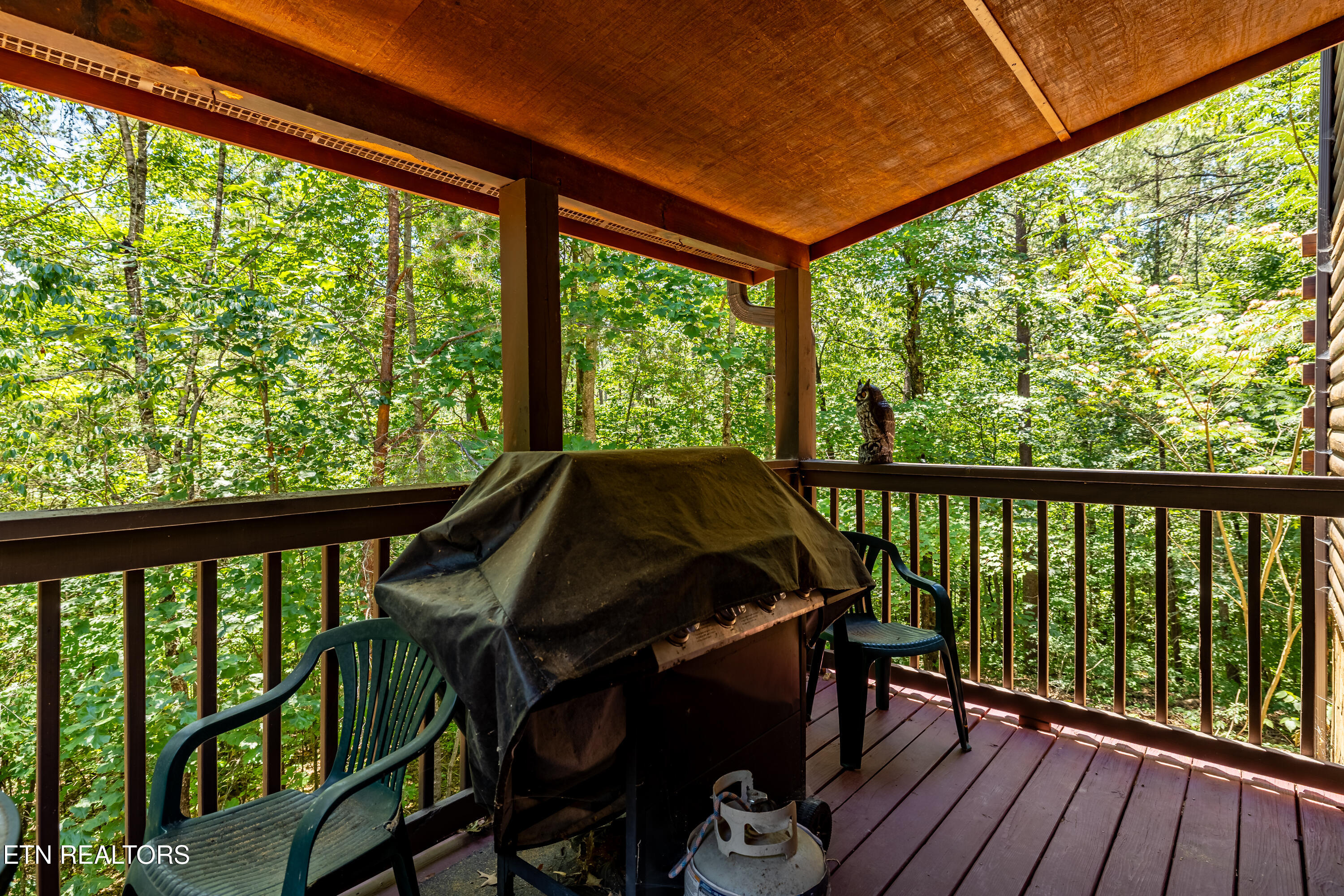 3447 Dogwood Circle Pigeon Forge TN 37863
