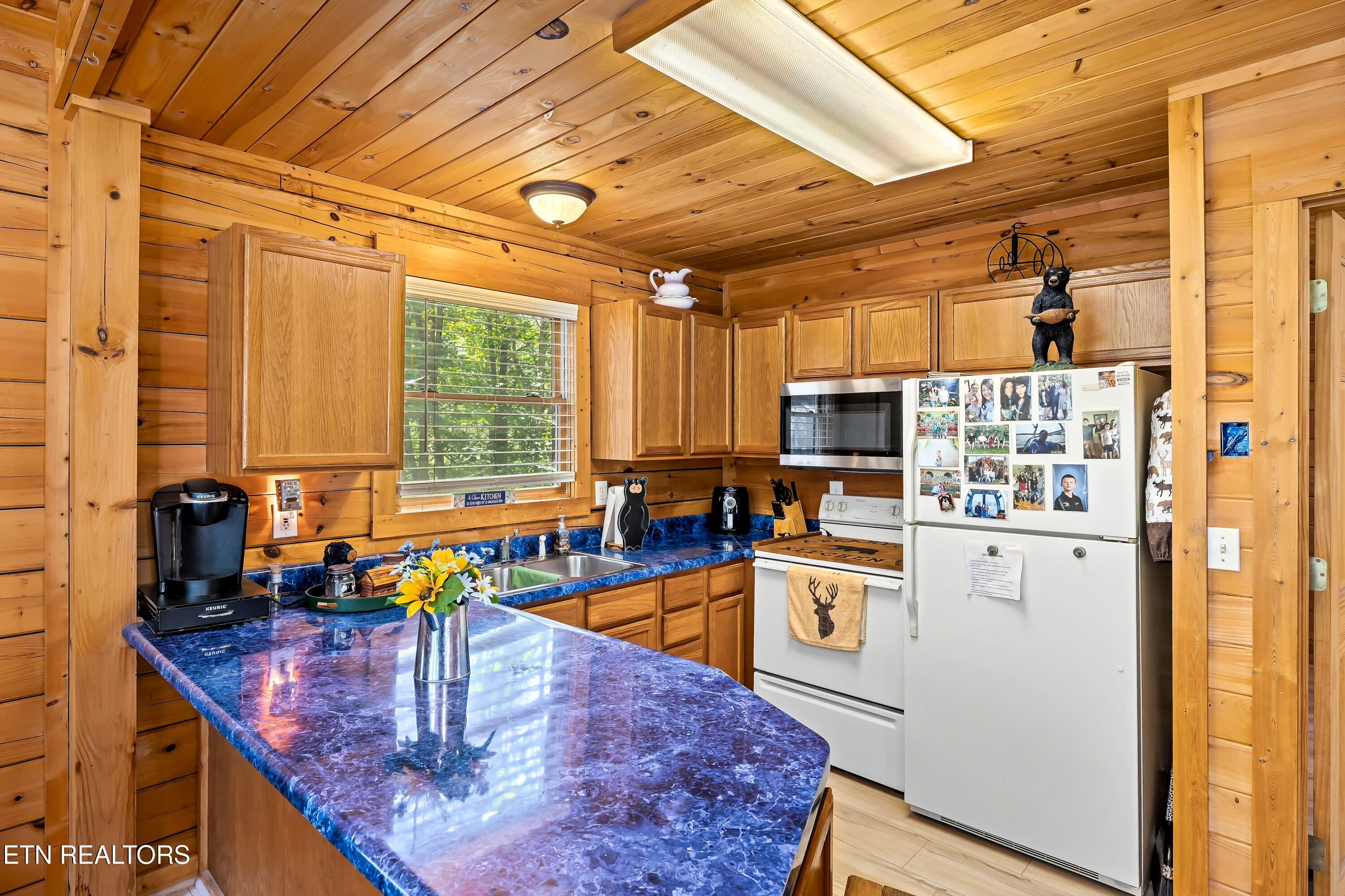 3447 Dogwood Circle Pigeon Forge TN 37863