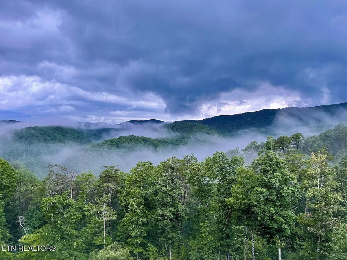 3142 Smoky Bluff Trail Sevierville TN 37862
