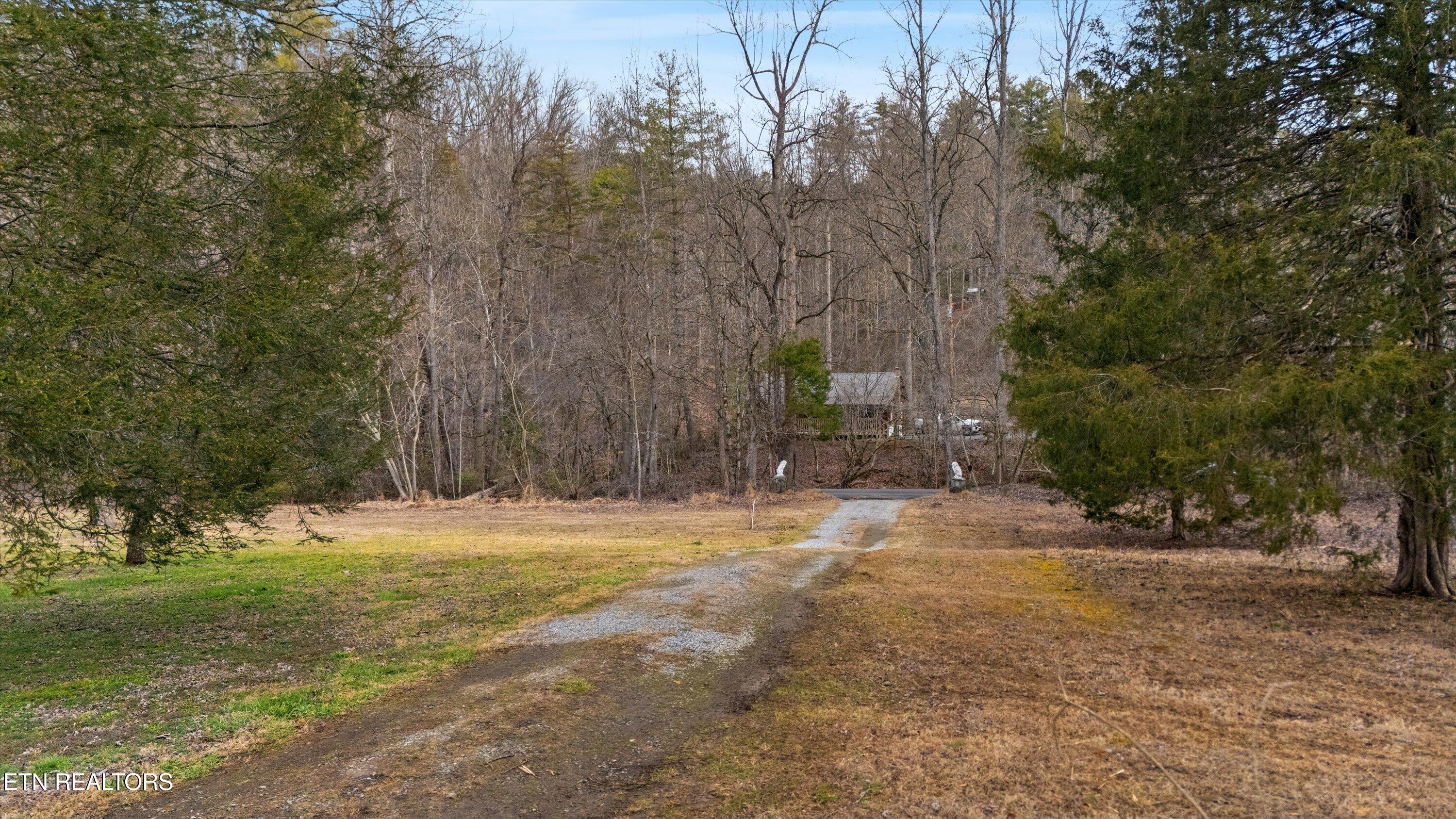 1223/1235 Rocky Flats Road Cosby TN 37722