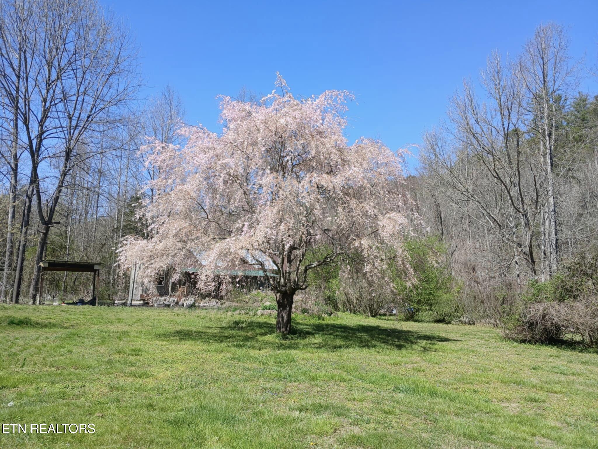 1223/1235 Rocky Flats Road Cosby TN 37722
