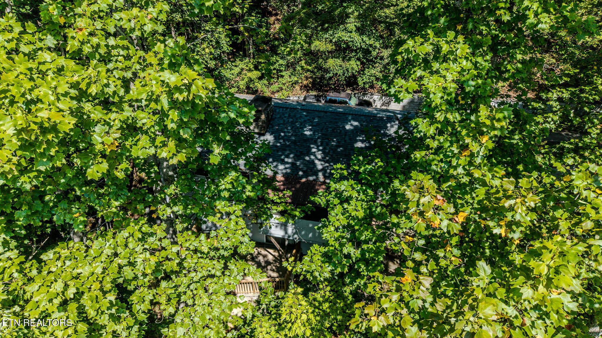 1131 Tanrac Trail Gatlinburg TN 37738