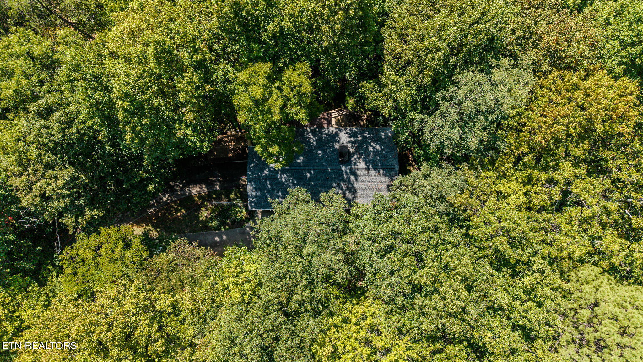 1131 Tanrac Trail Gatlinburg TN 37738