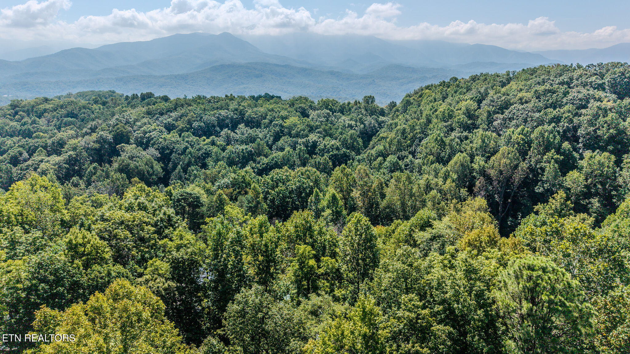 1131 Tanrac Trail Gatlinburg TN 37738