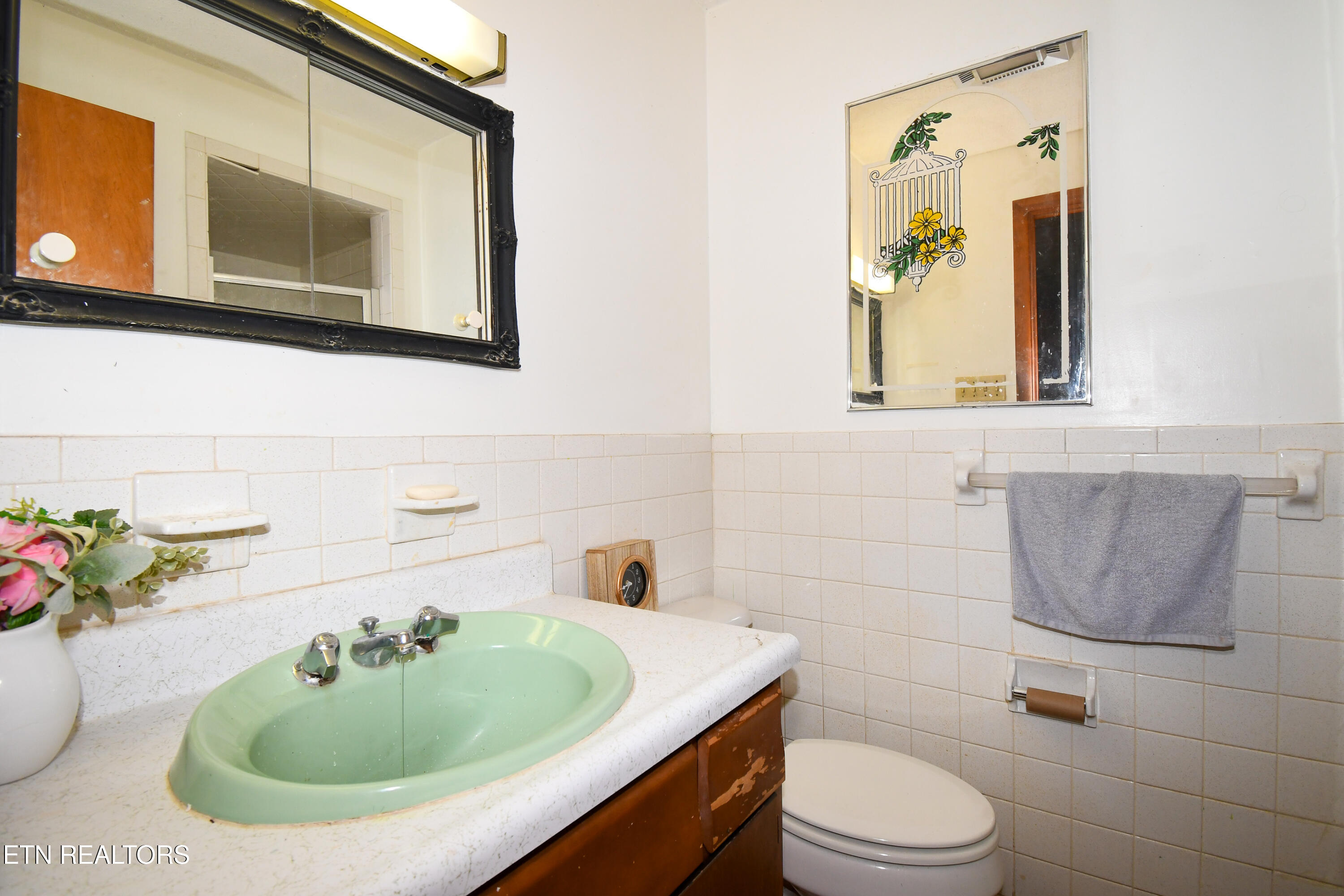 185 Trigonia Road Greenback TN 37742