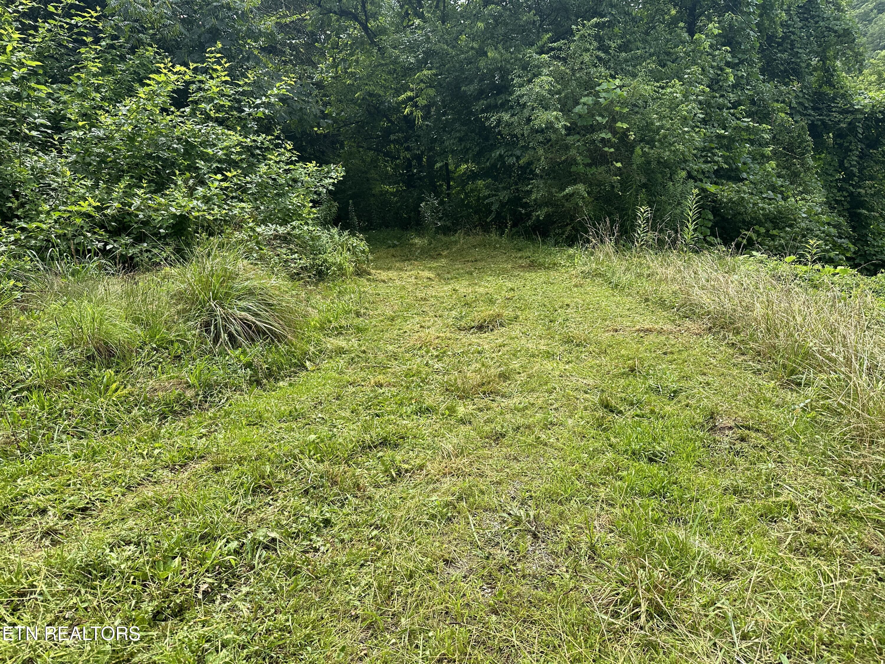 3576 Wilhite Road Pigeon Forge TN 37876