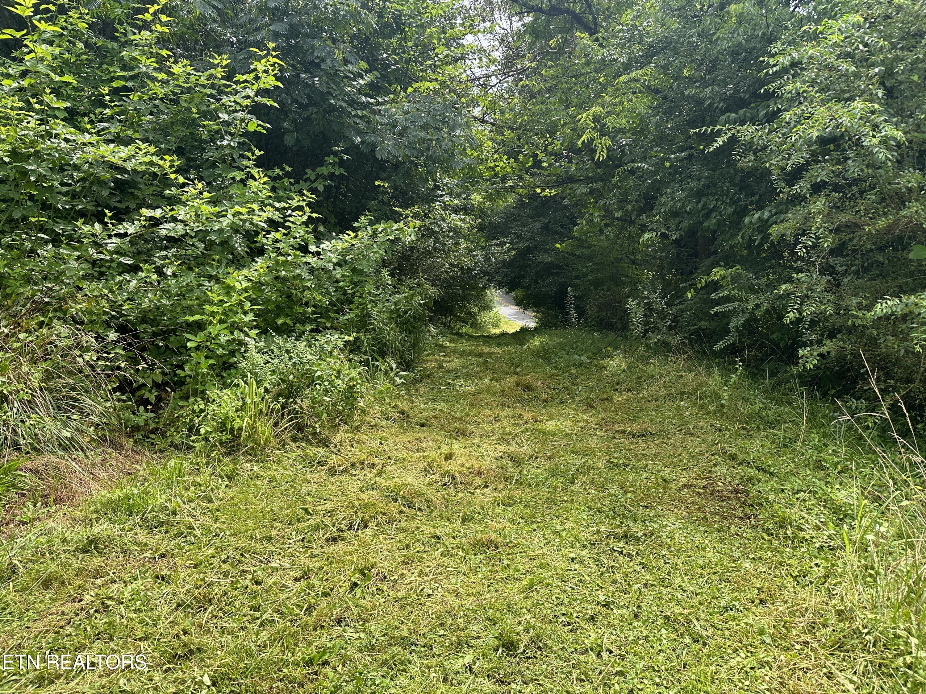 3576 Wilhite Road Pigeon Forge TN 37876
