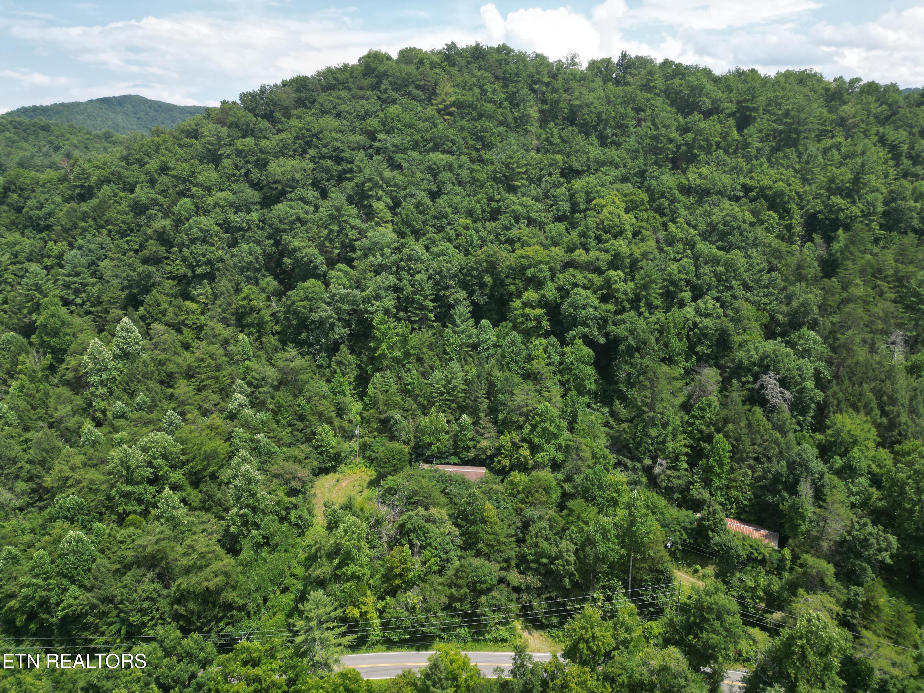 3576 Wilhite Road Pigeon Forge TN 37876