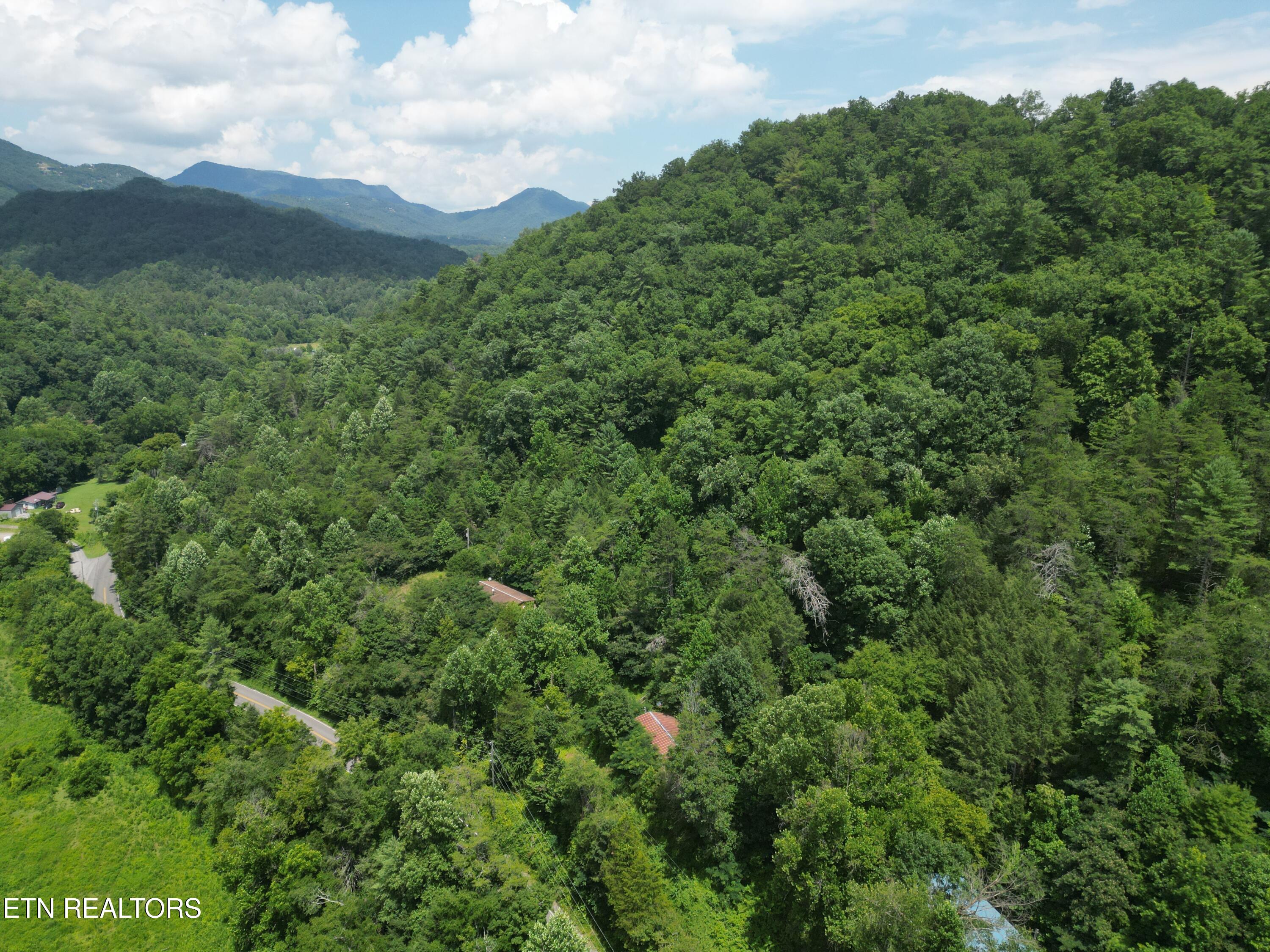 3576 Wilhite Road Pigeon Forge TN 37876