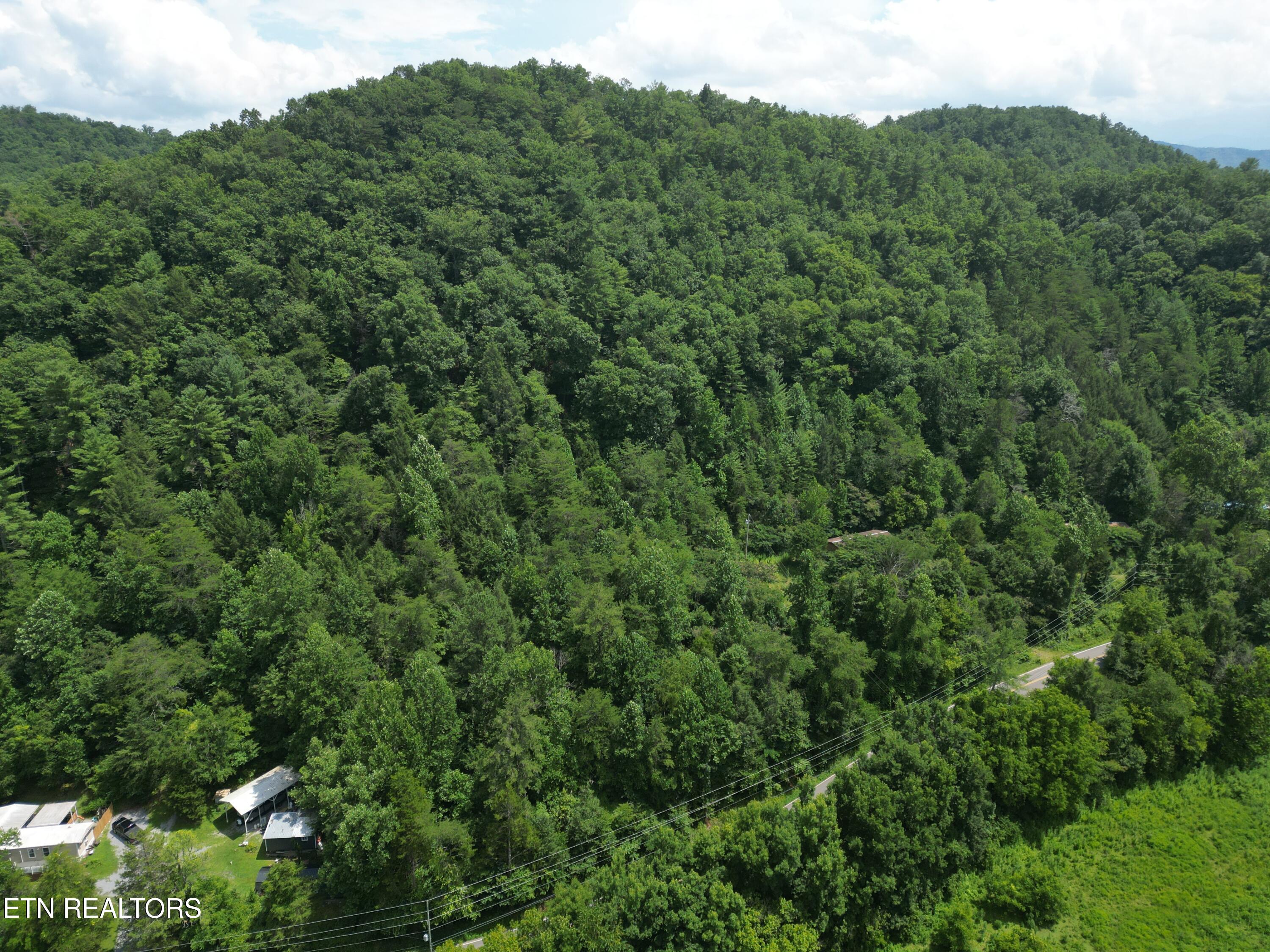 3576 Wilhite Road Pigeon Forge TN 37876