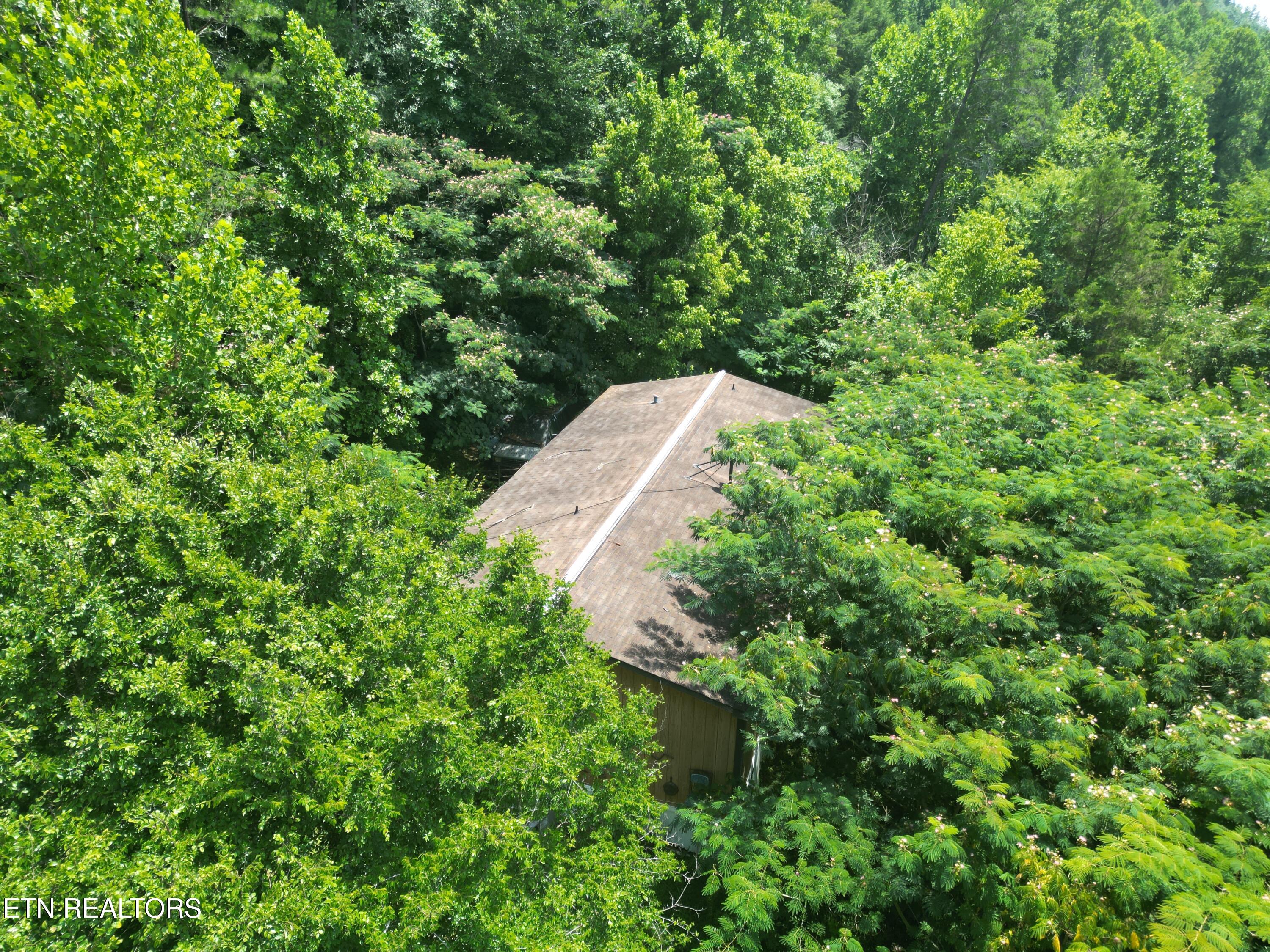 3576 Wilhite Road Pigeon Forge TN 37876