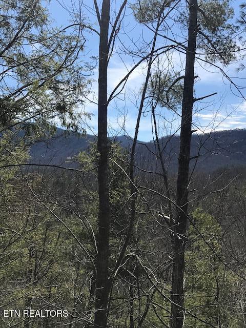 218 Ace Gap Road Townsend TN 37882